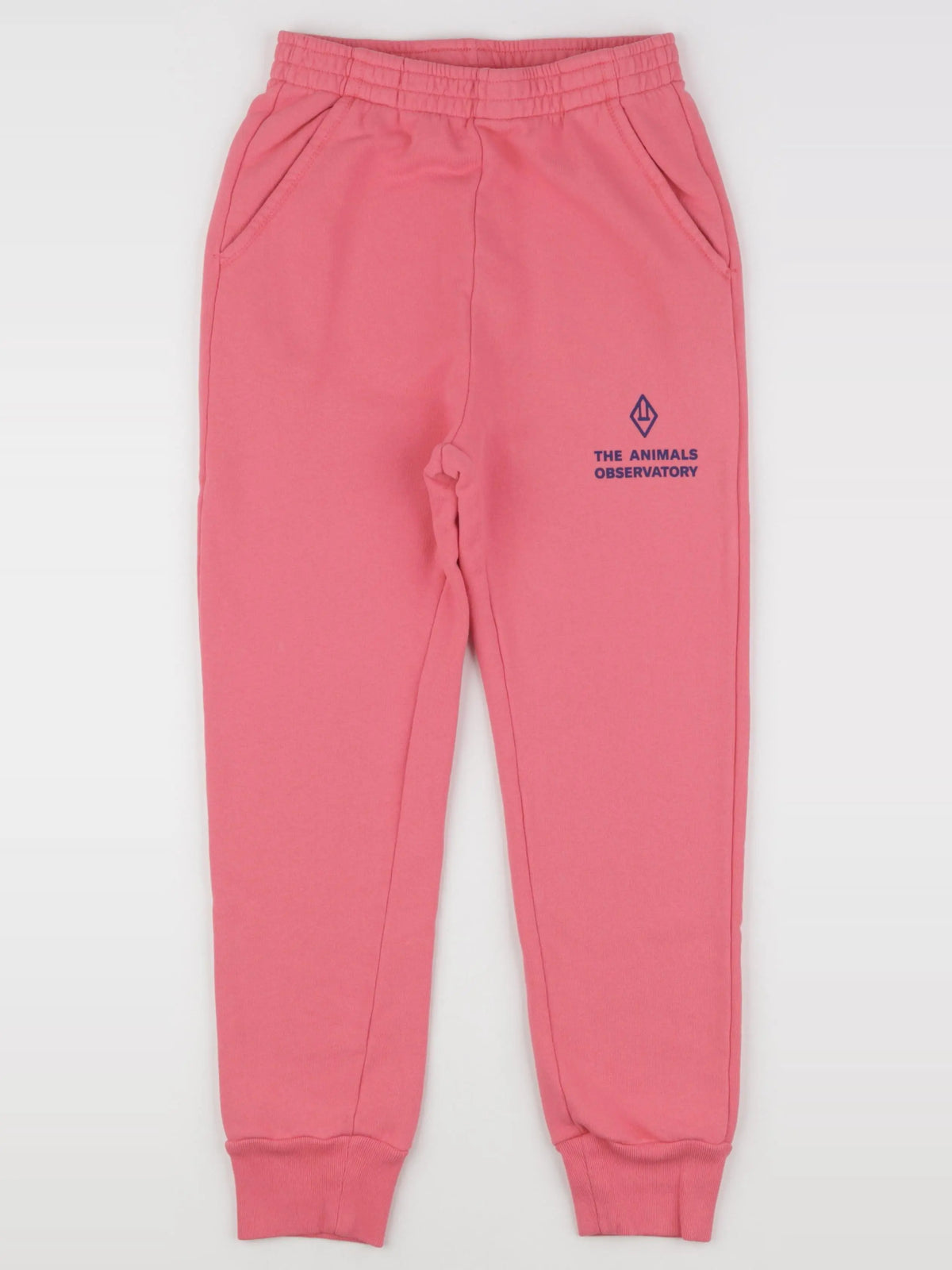 Jogging rose DRACO