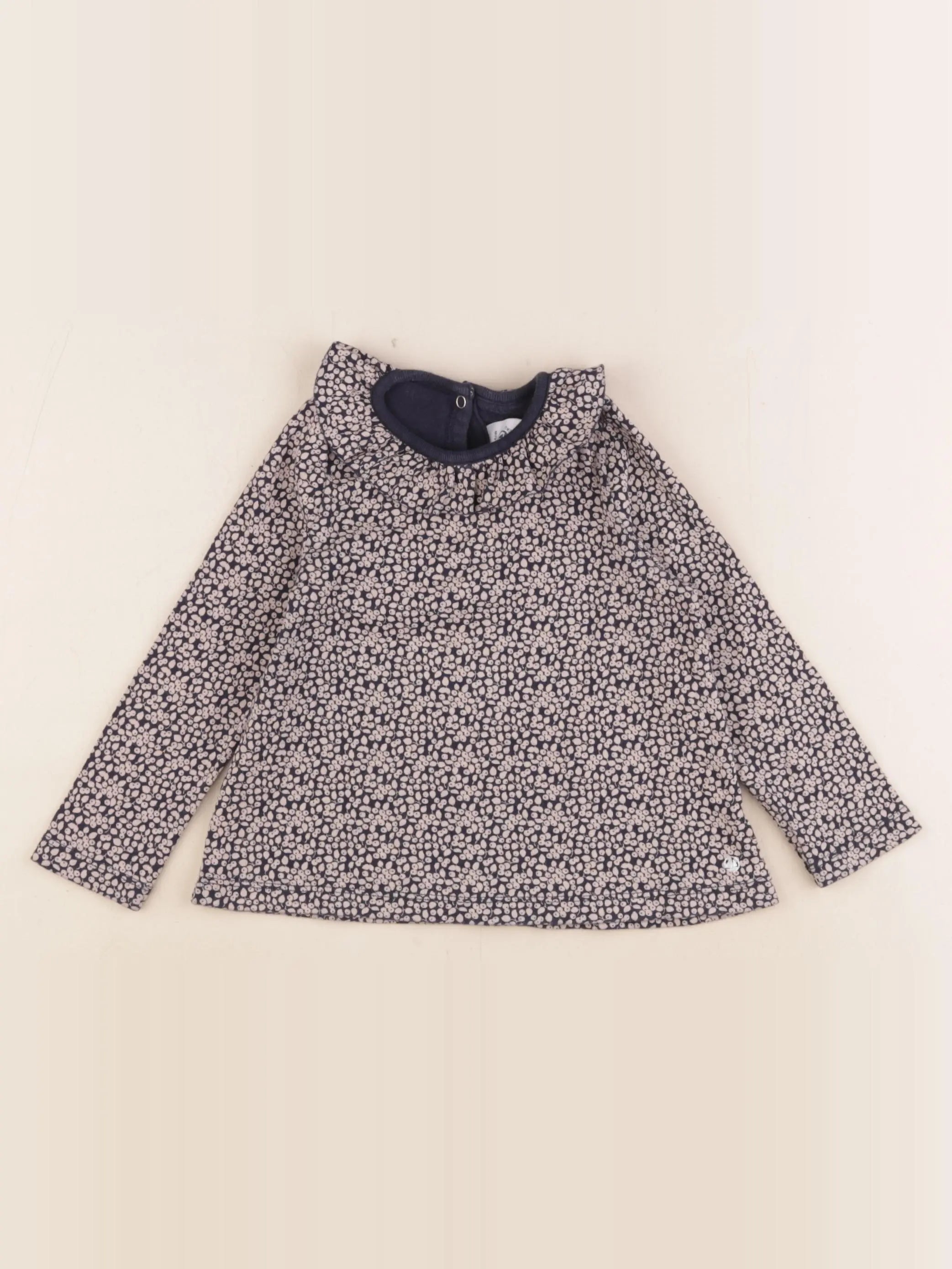 Petit Bateau - tee-shirt bleu, beige - 24 mois