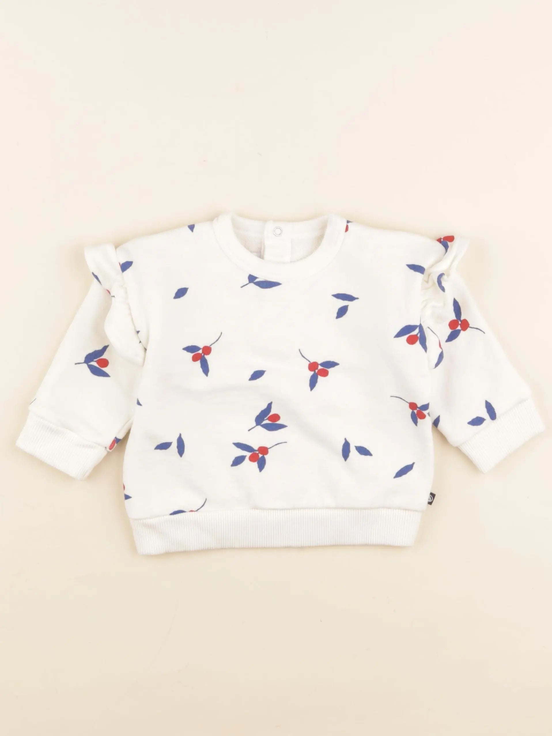 Petit Bateau - sweat beige, bleu - 6 mois