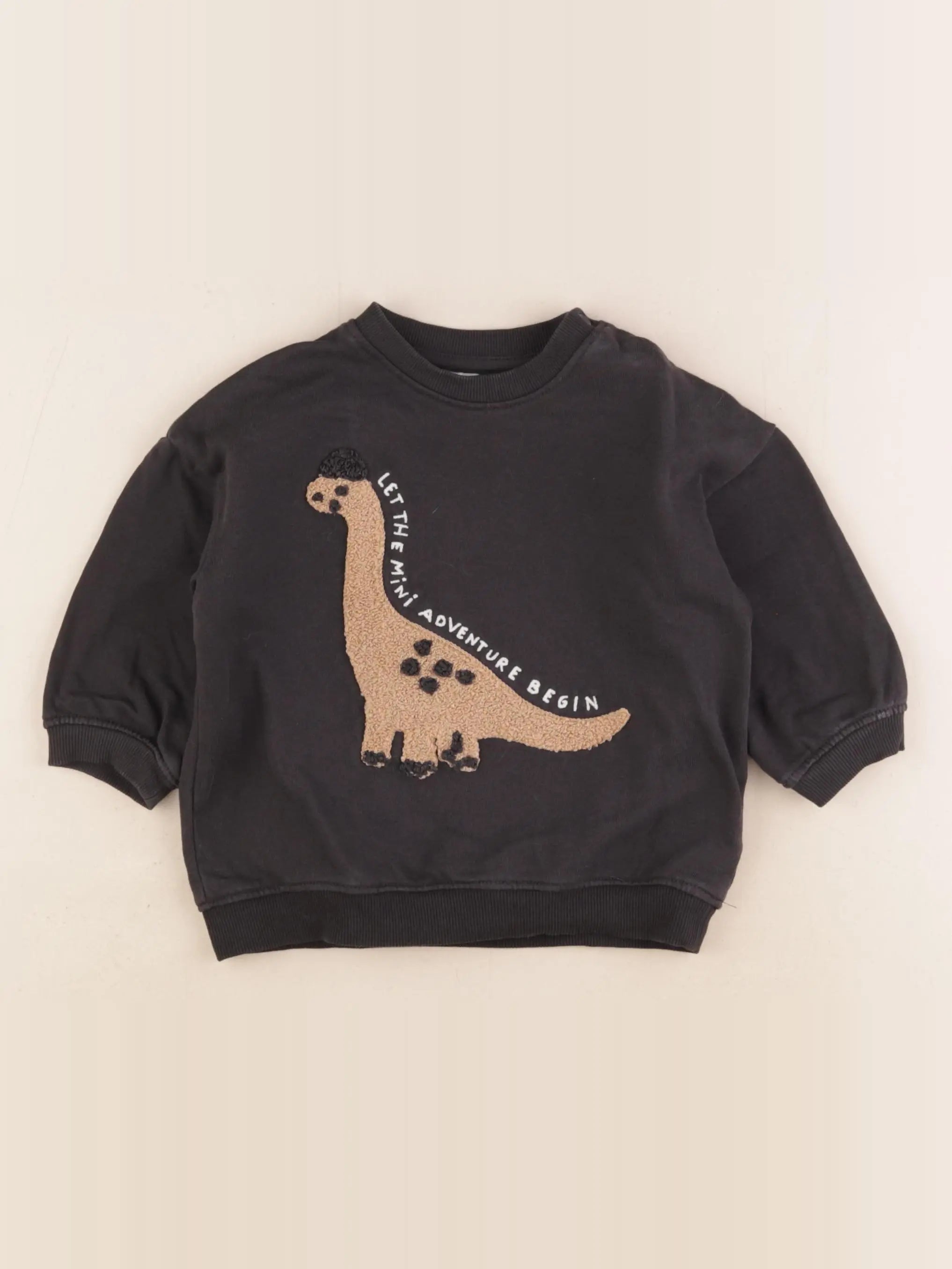 H&M - sweat gris - 12/18 mois