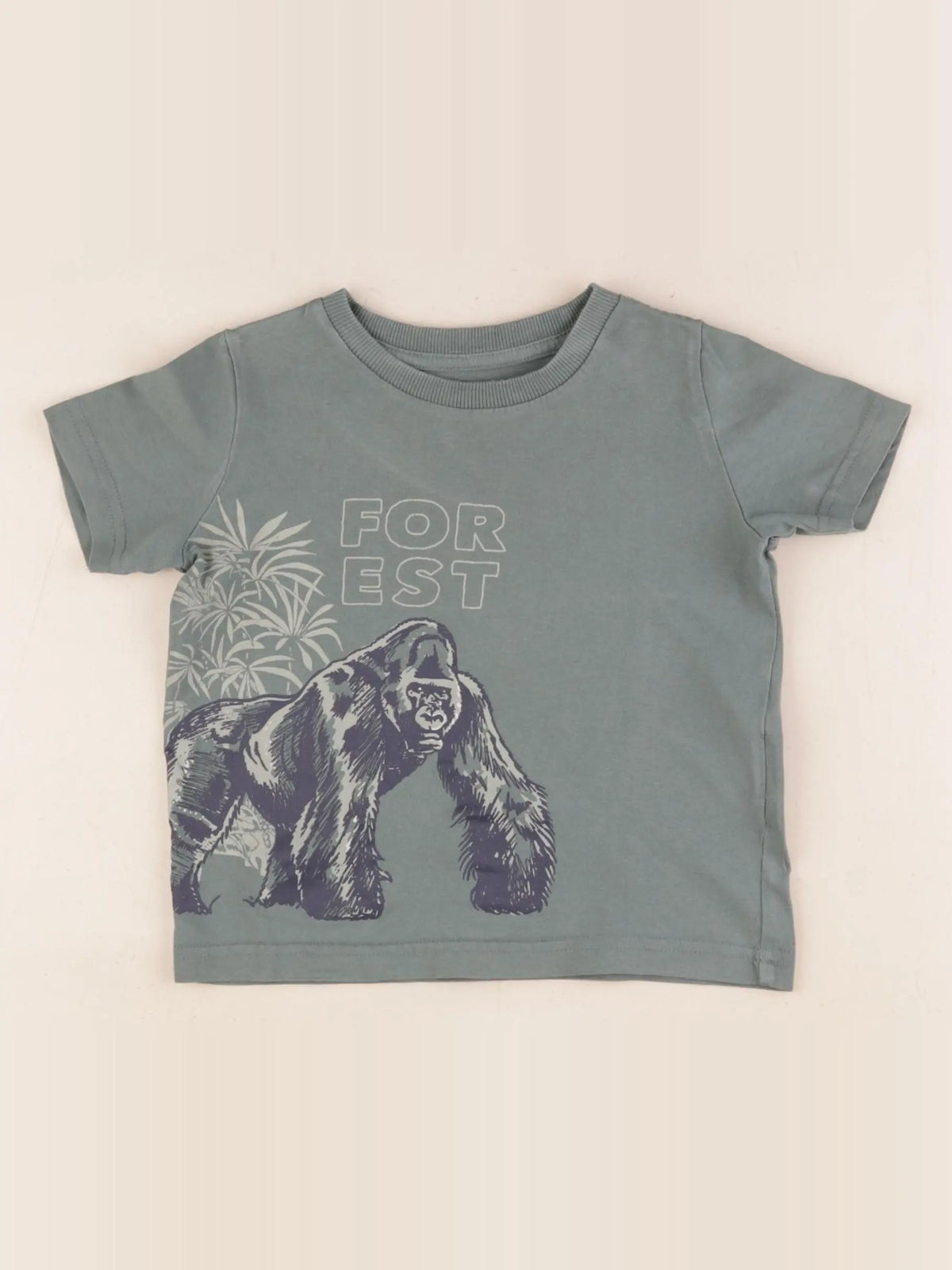 Vertbaudet - tee-shirt vert - 2 ans