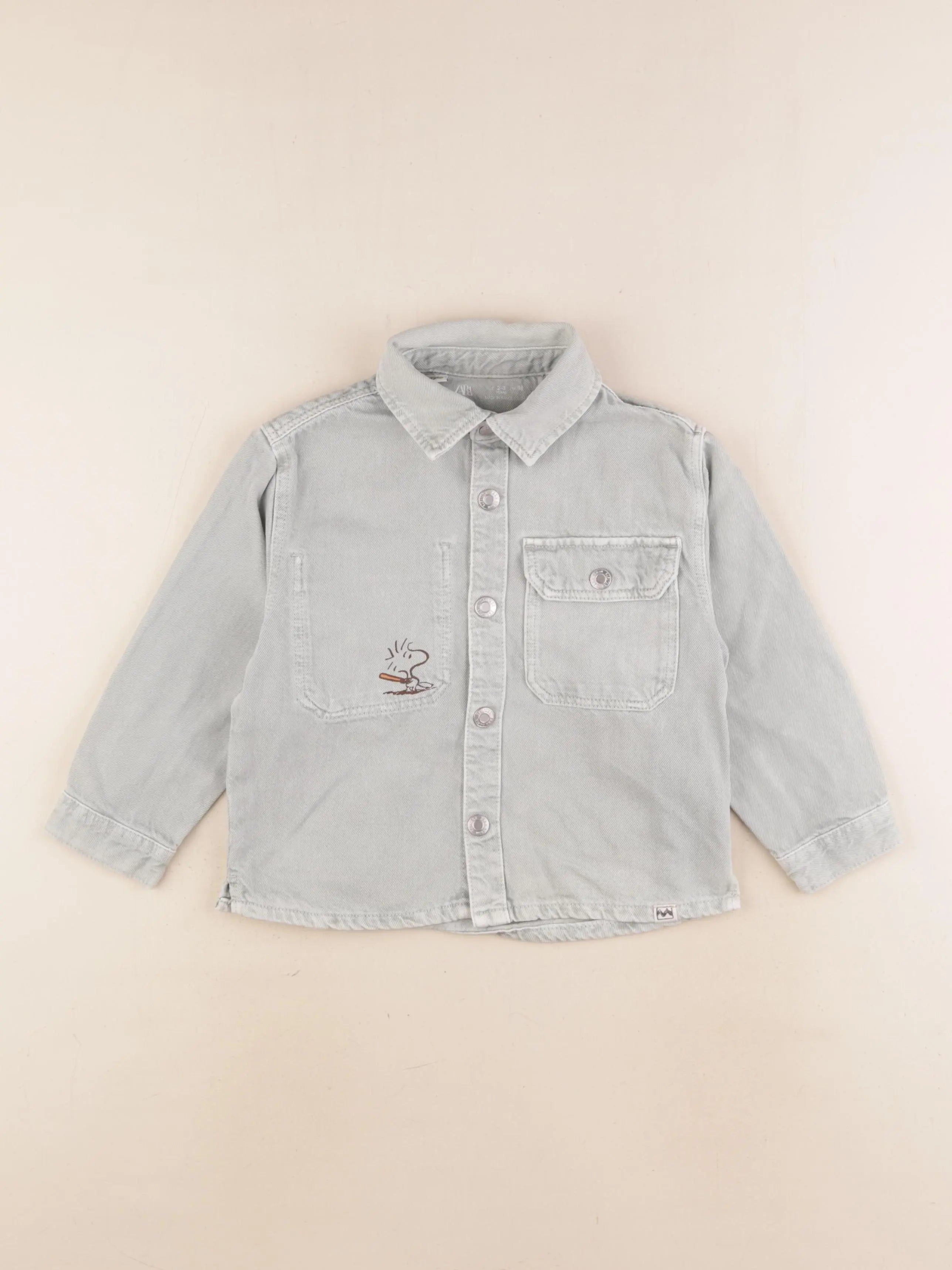 Zara - veste imprimé au dos bleu - 2/3 ans