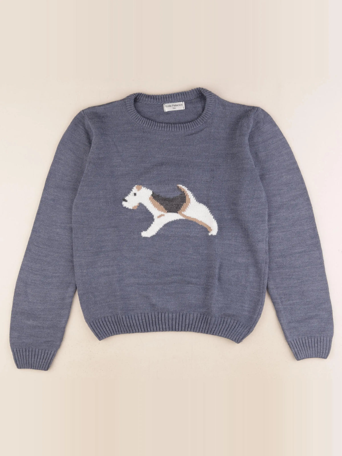 Lola Palacios - pull bleu - 10 ans