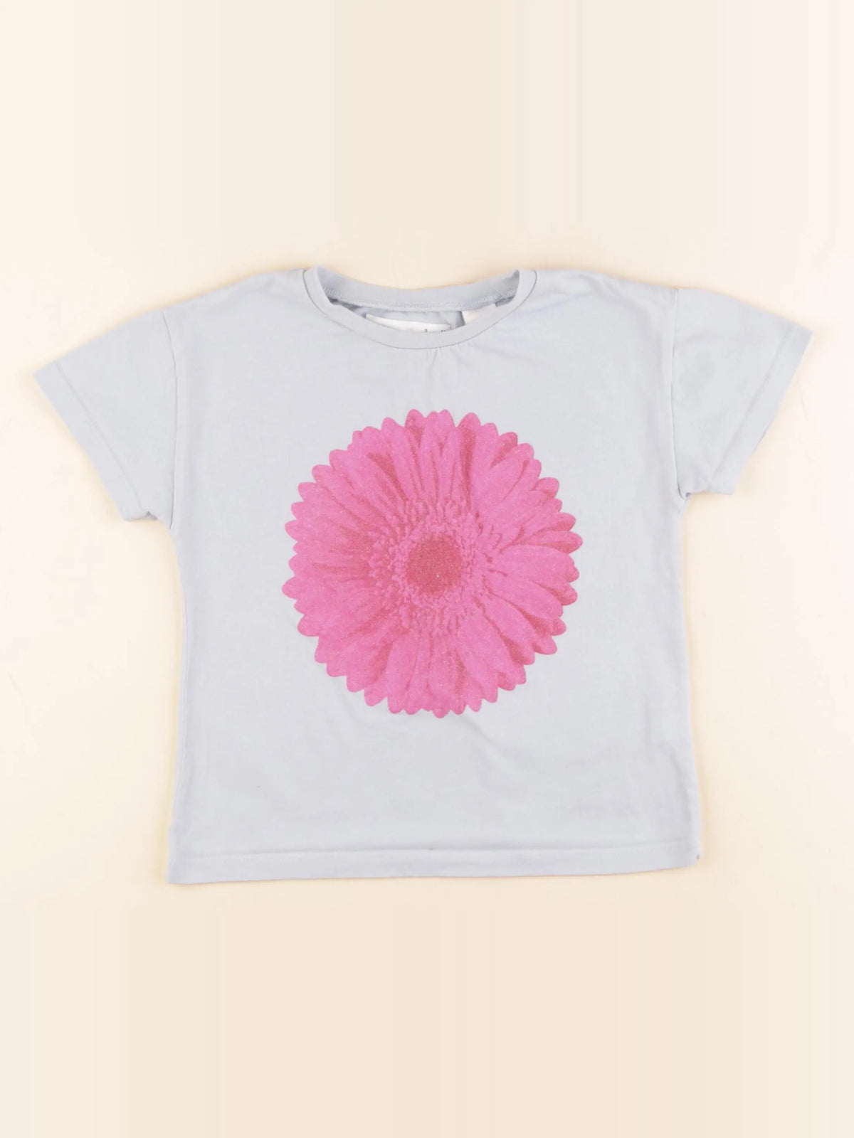Zara - tee-shirt bleu - 5 ans