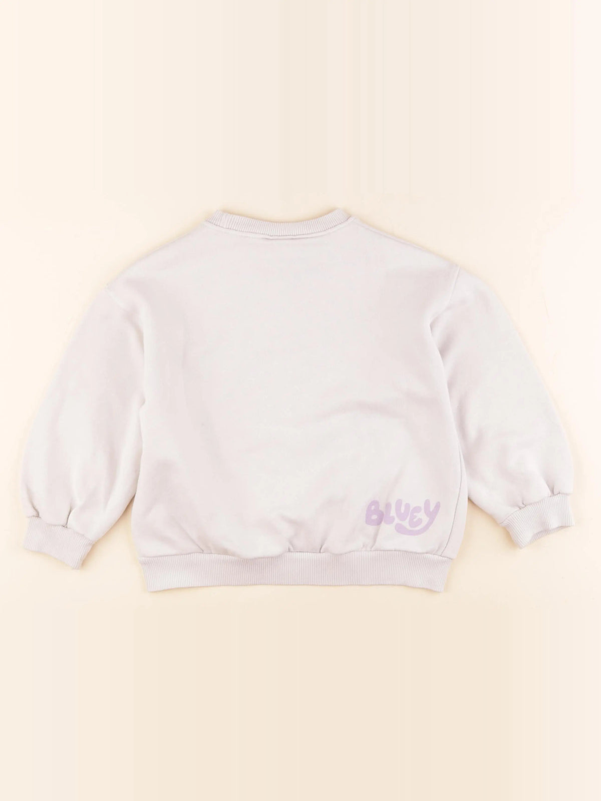 Zara - sweat imprimé au dos multicolore - 5 ans