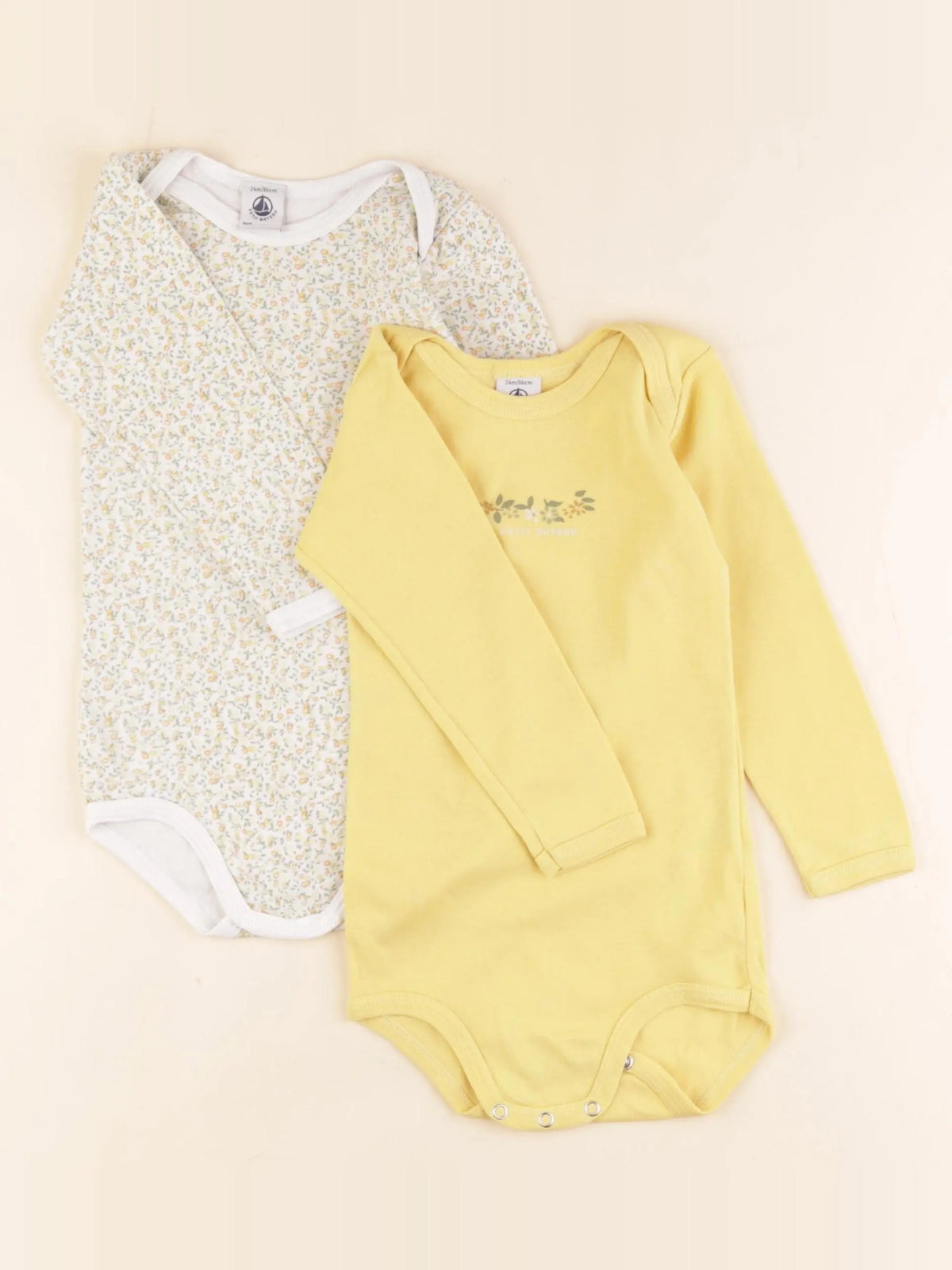 Petit Bateau - lot de 2 bodies en coton multicolore - 2 ans