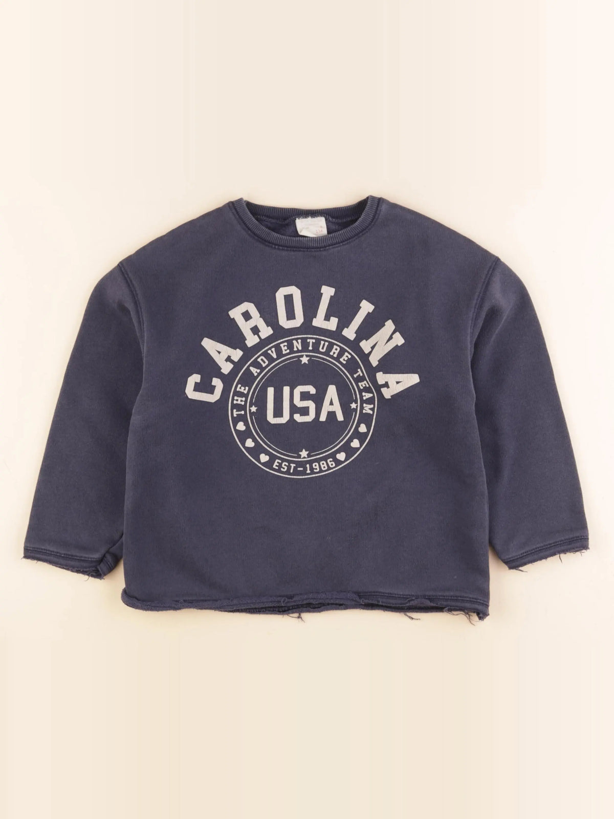 Zara - sweat bleu - 6 ans