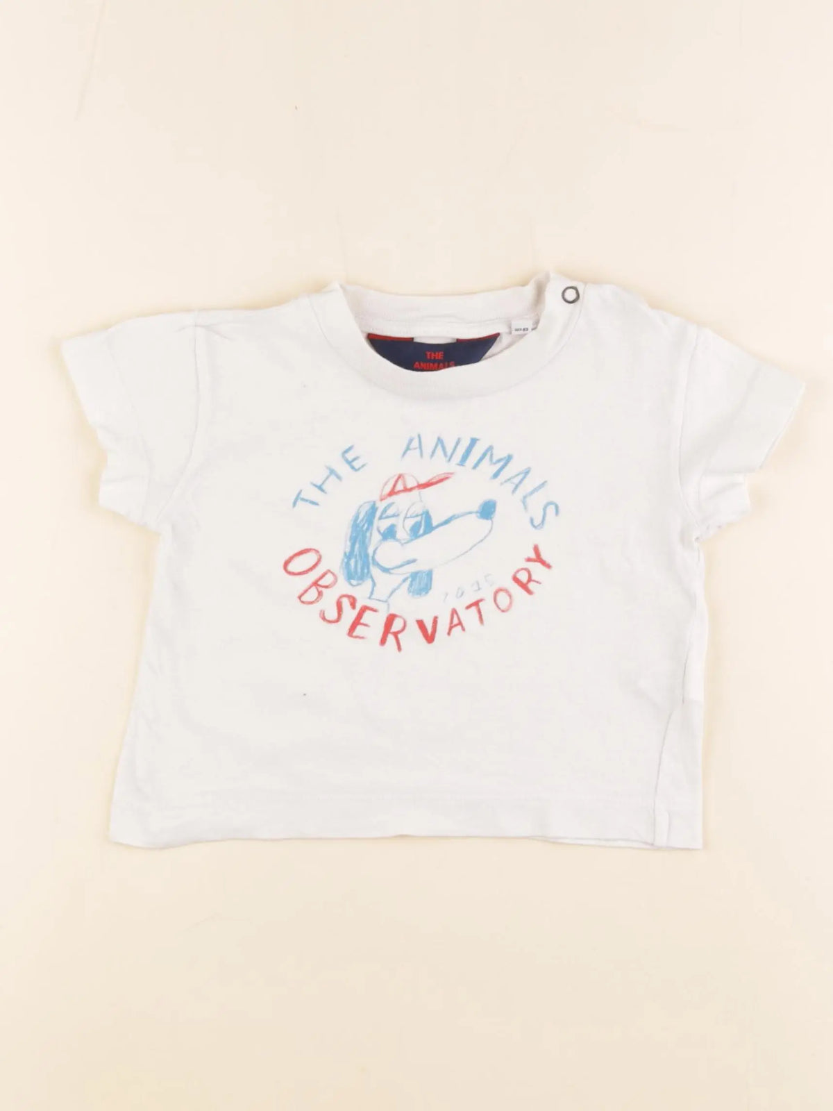 The animals observatory - tee-shirt blanc - 6 mois