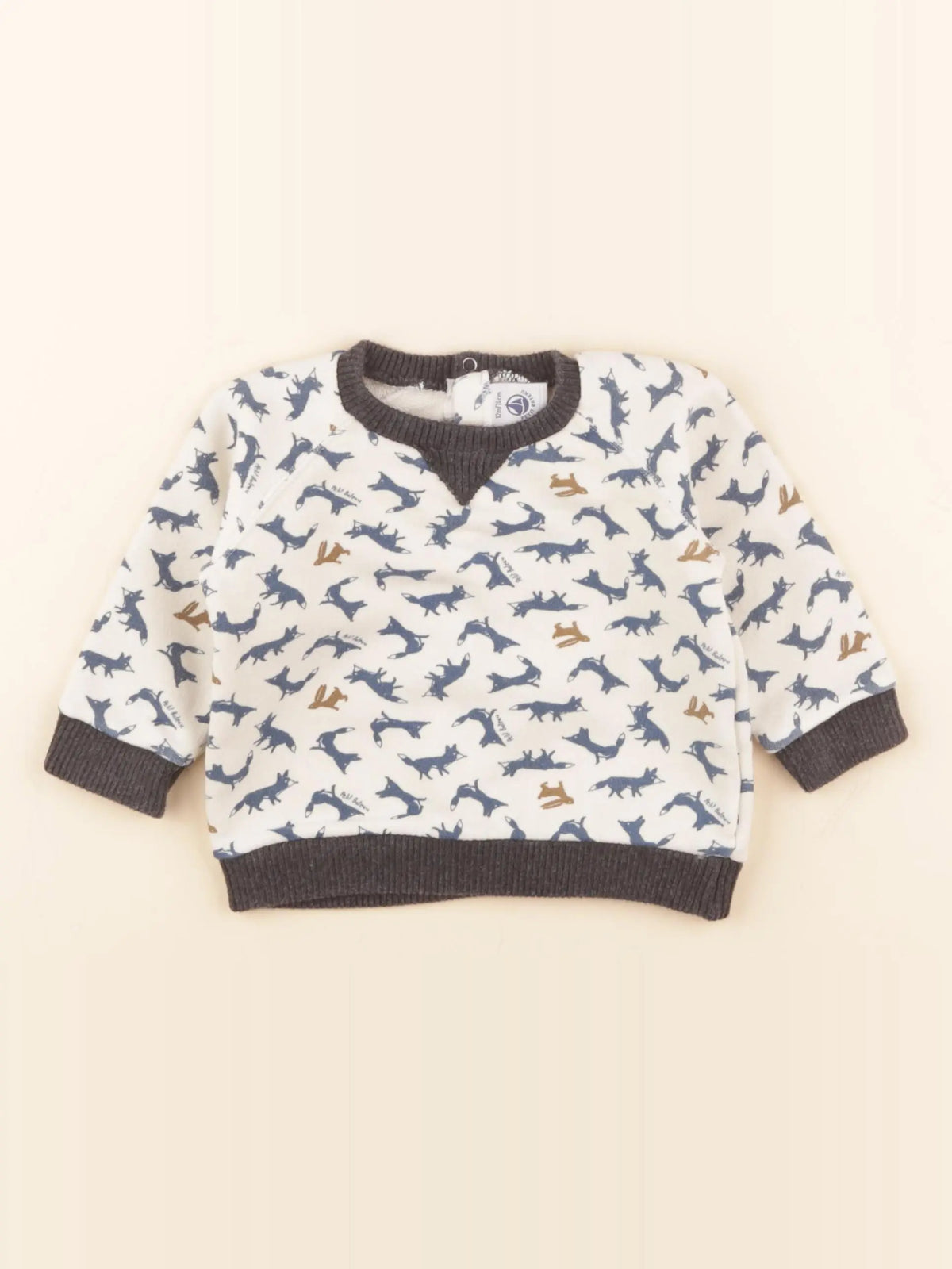 Petit Bateau - sweat multicolore - 12 mois