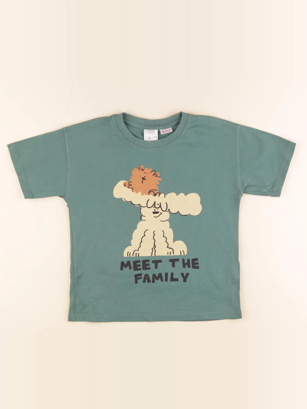 Zara - tee-shirt vert - 6 ans