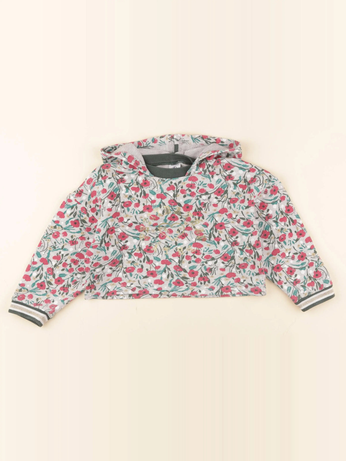 Petit Bateau - sweat multicolore - 4 ans