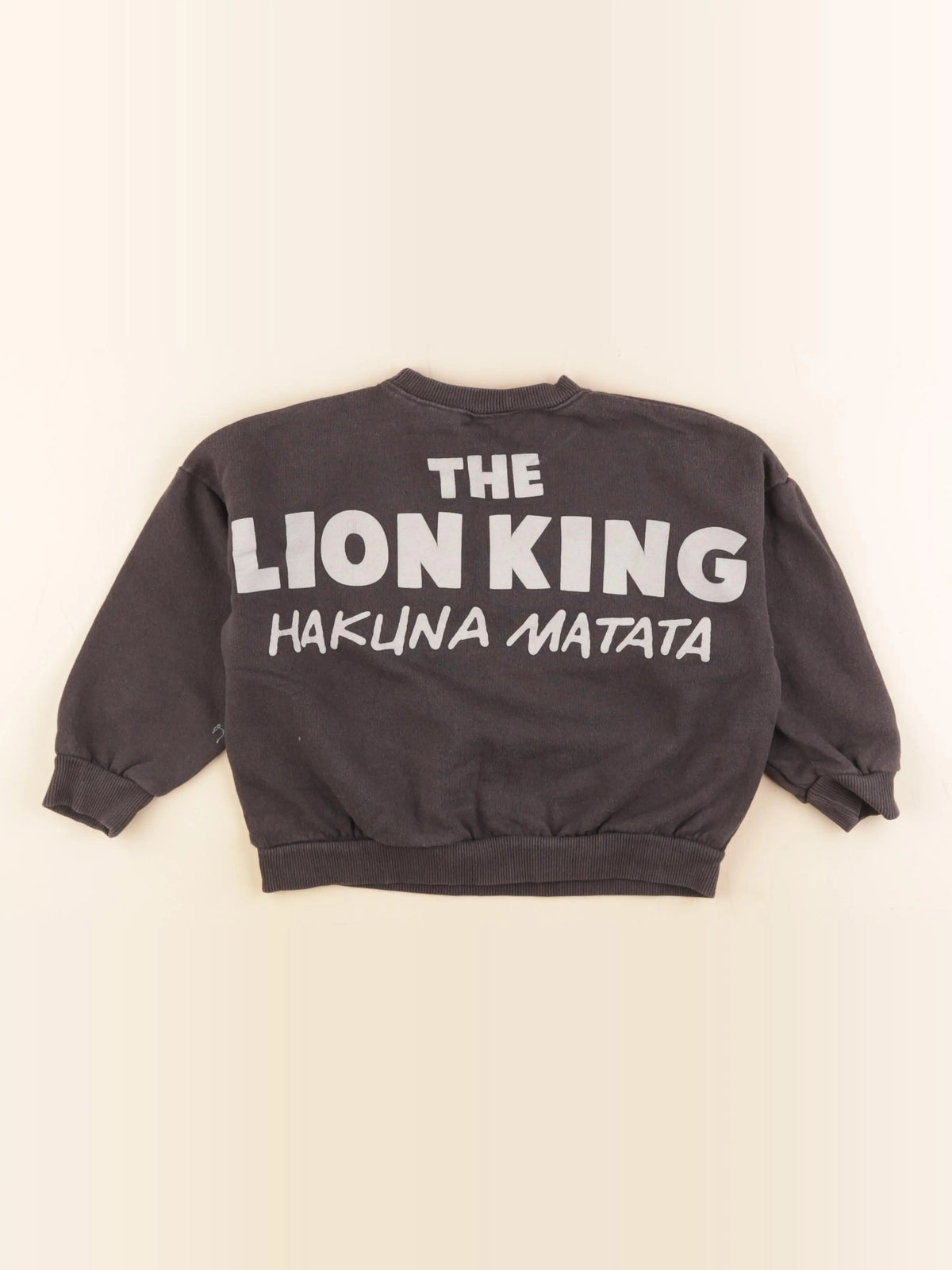 Zara - sweat imprimé au dos gris - 4/5 ans