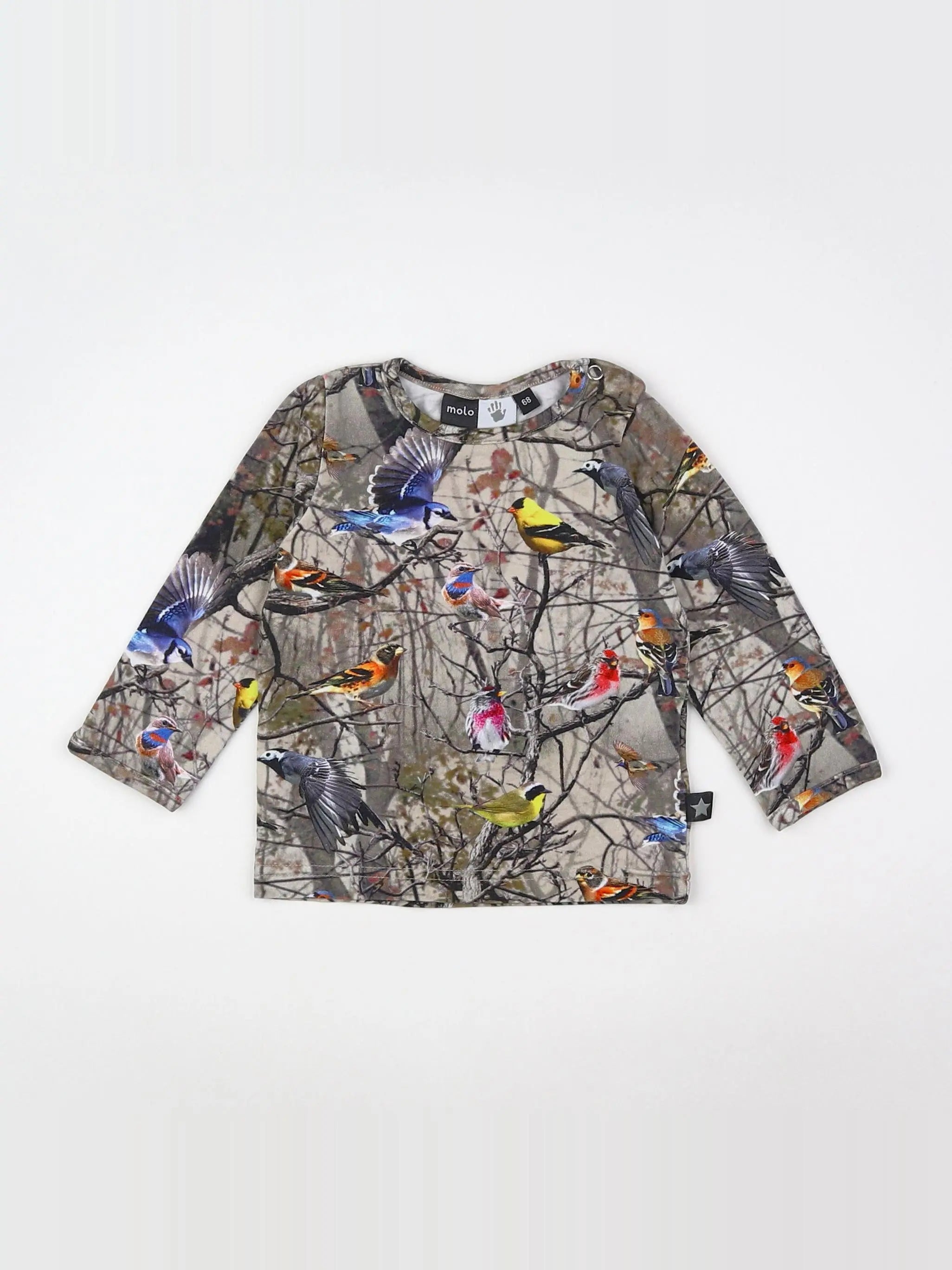 Molo - tee-shirt multicolore - 3/6 mois