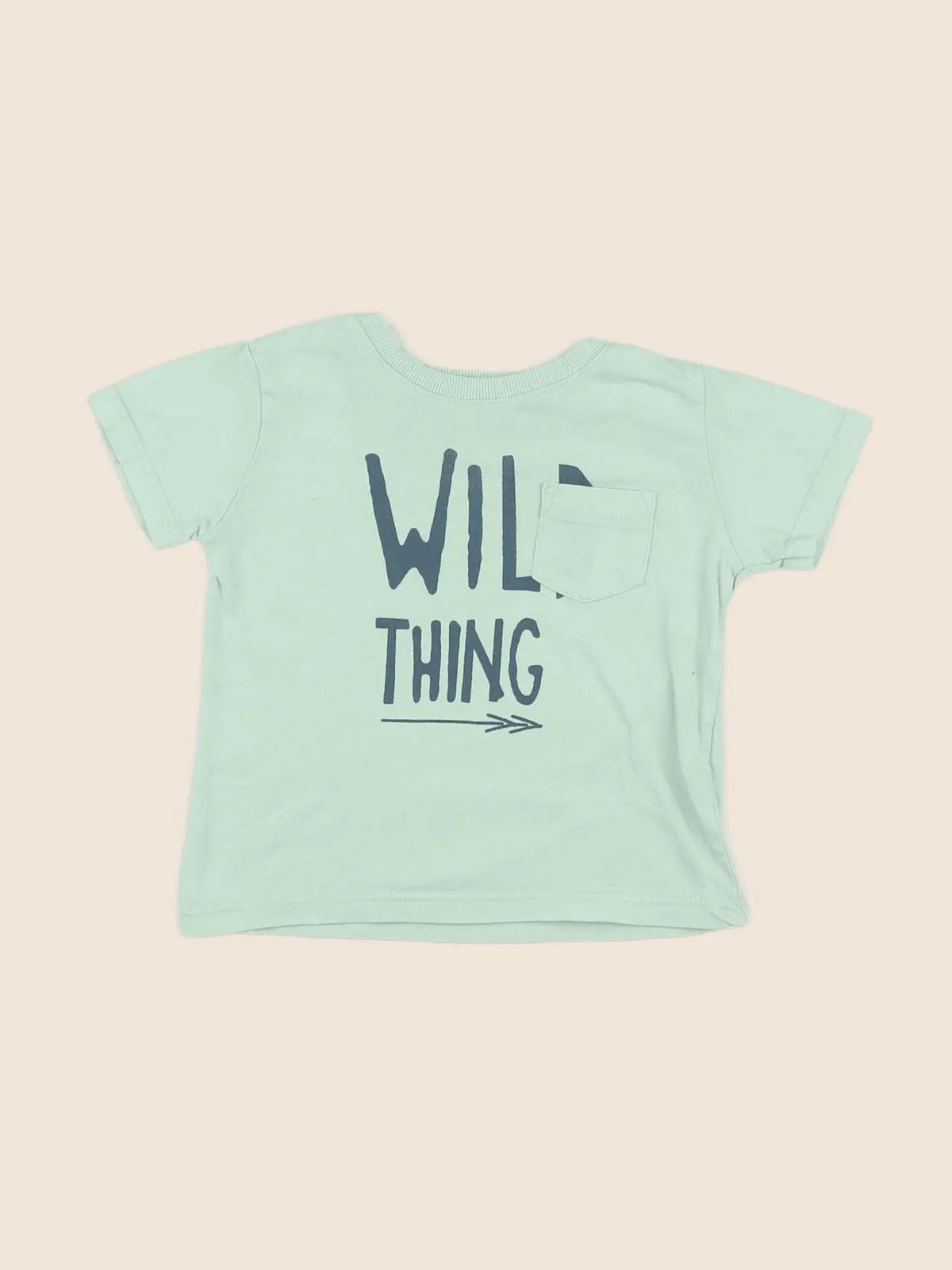 Zara - tee-shirt vert - 6/9 mois