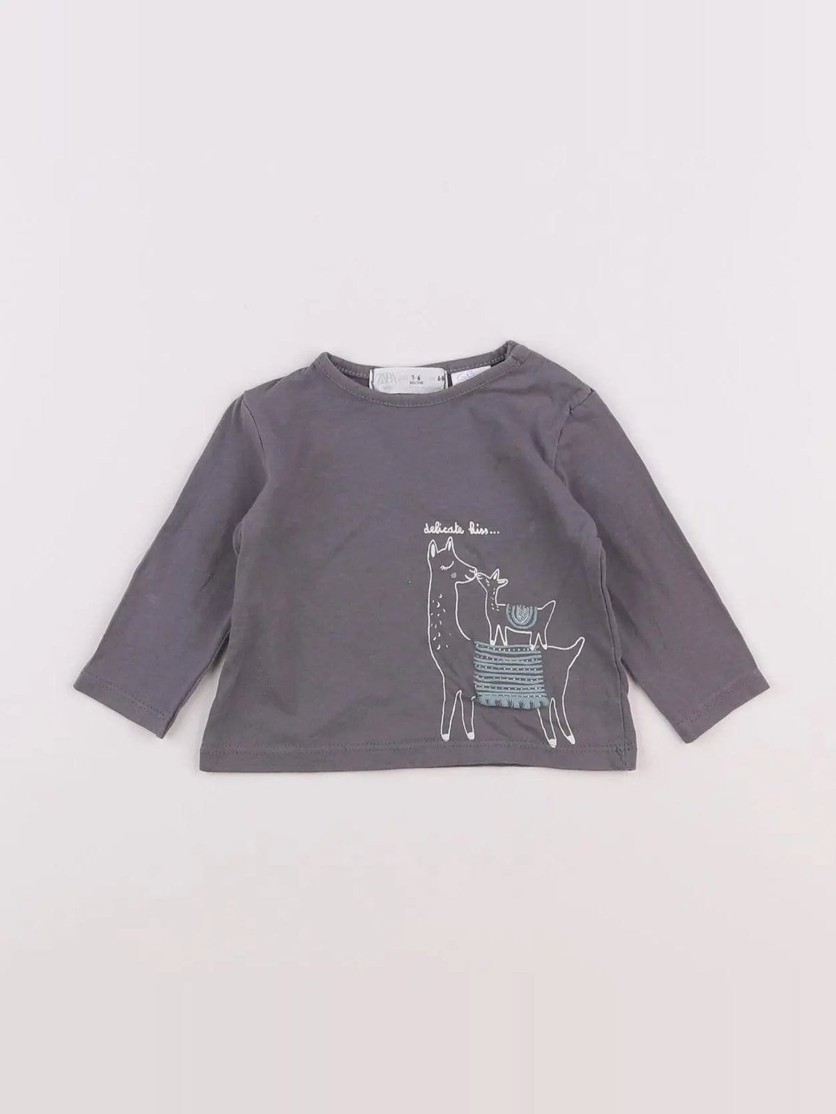 Zara - tee-shirt gris - 3/6 mois