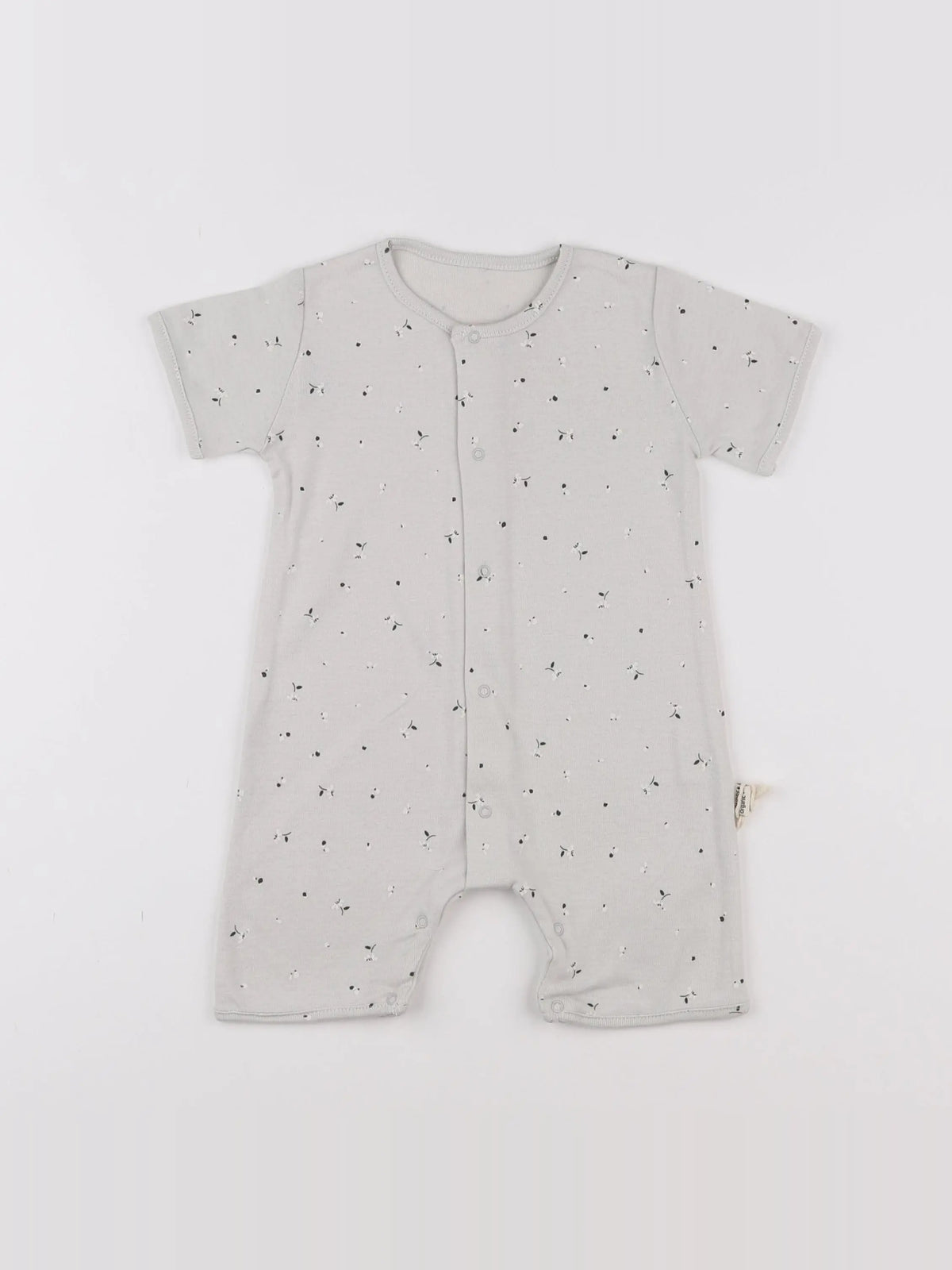 Combicourt Fenouil Fleurs Lunar Rock