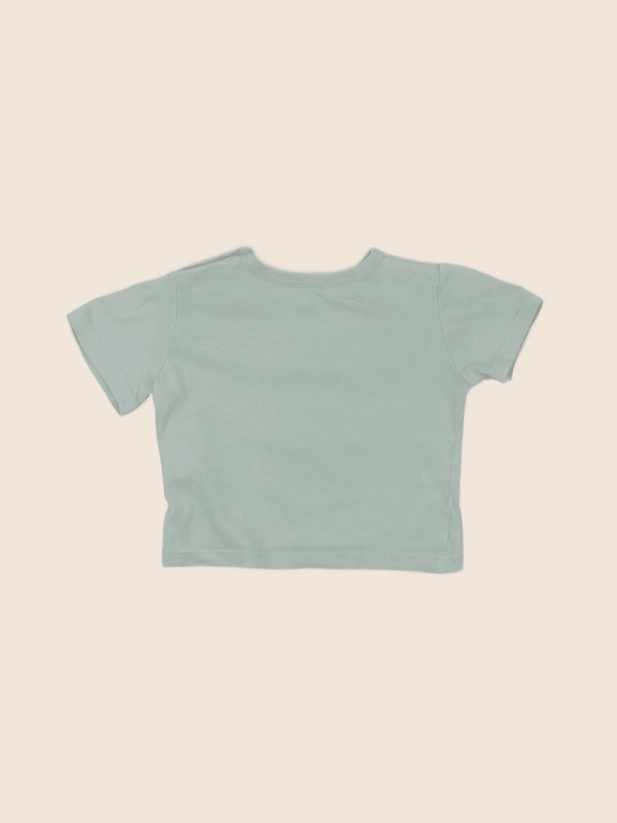 Boutchou - tee-shirt vert - 6 mois