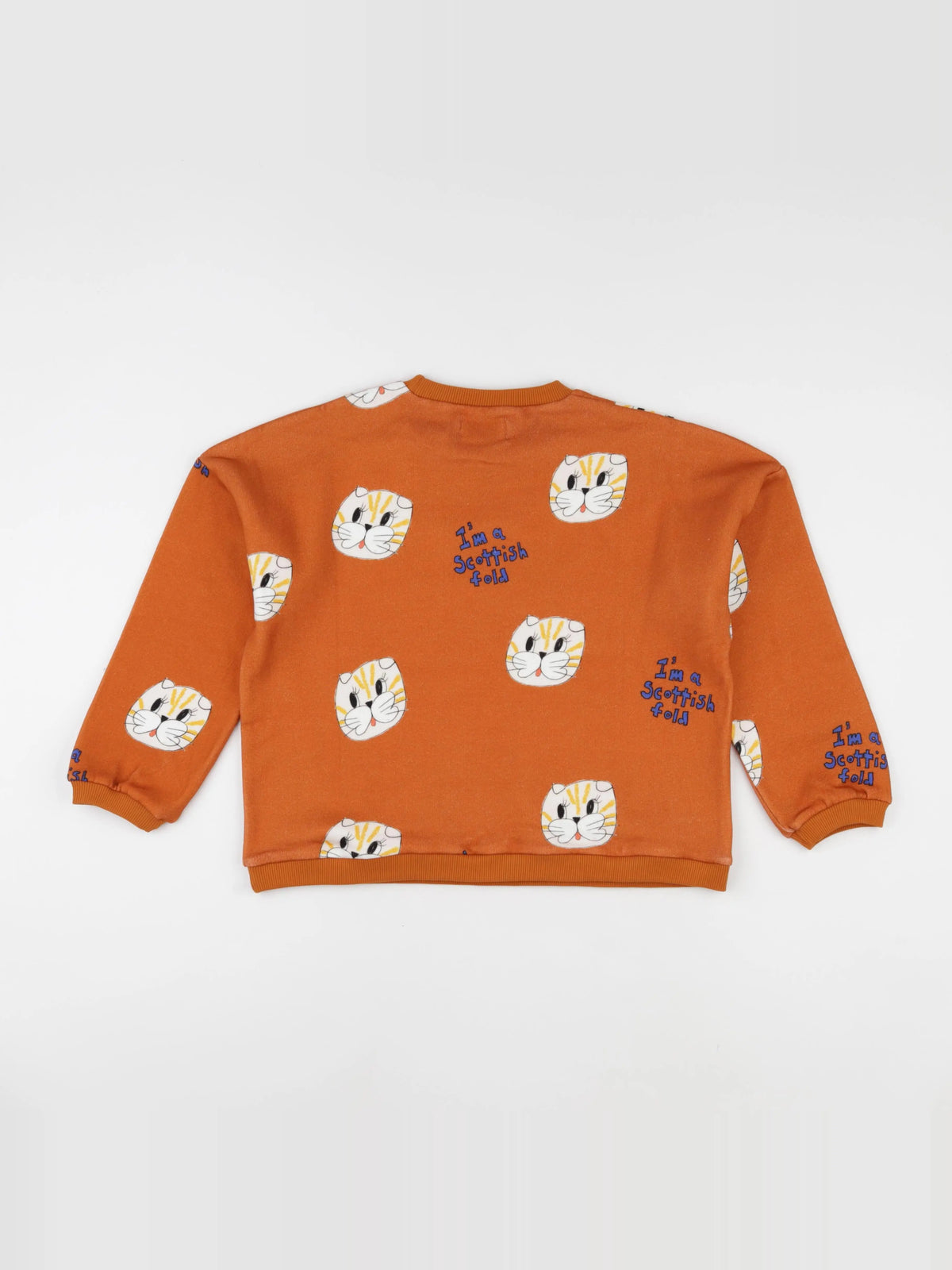 Sweat Cat orange