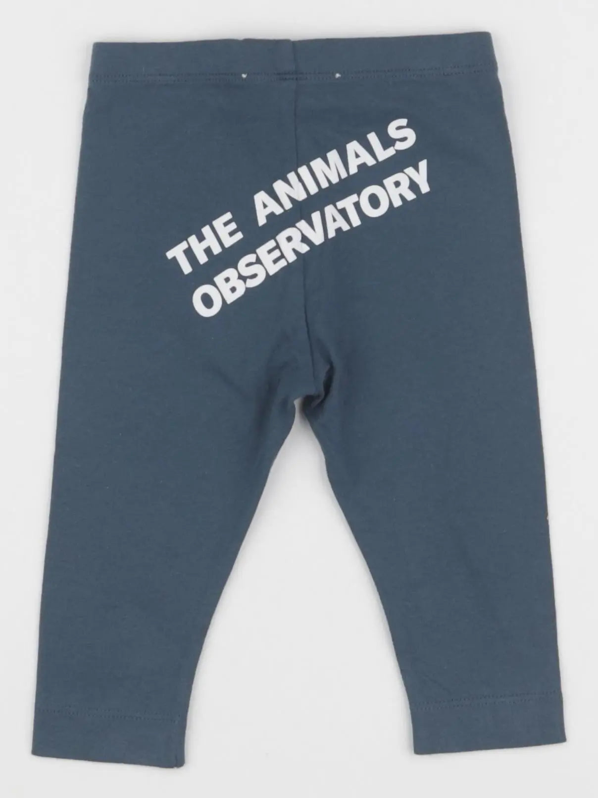 The animals observatory - legging bleu - 6 mois