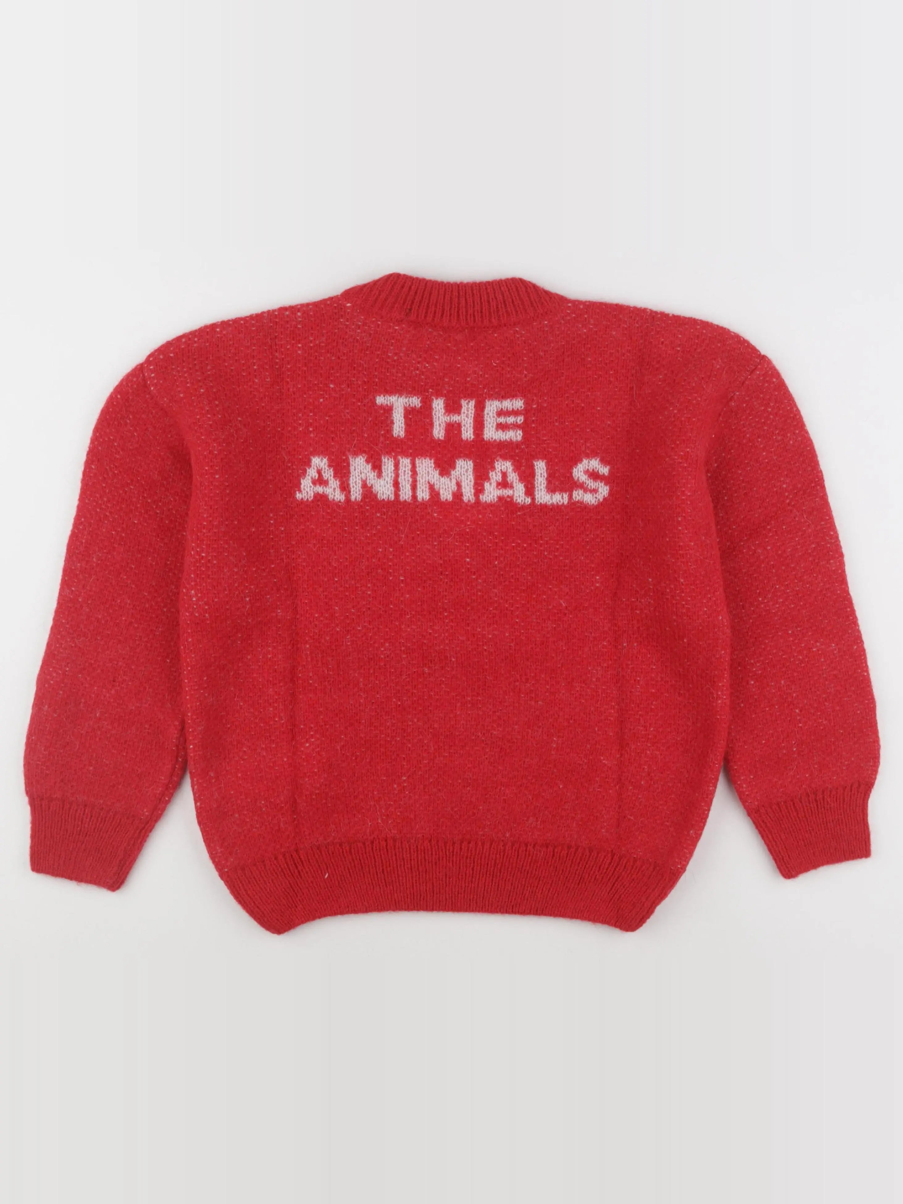 Plain Bull Kids Sweater
