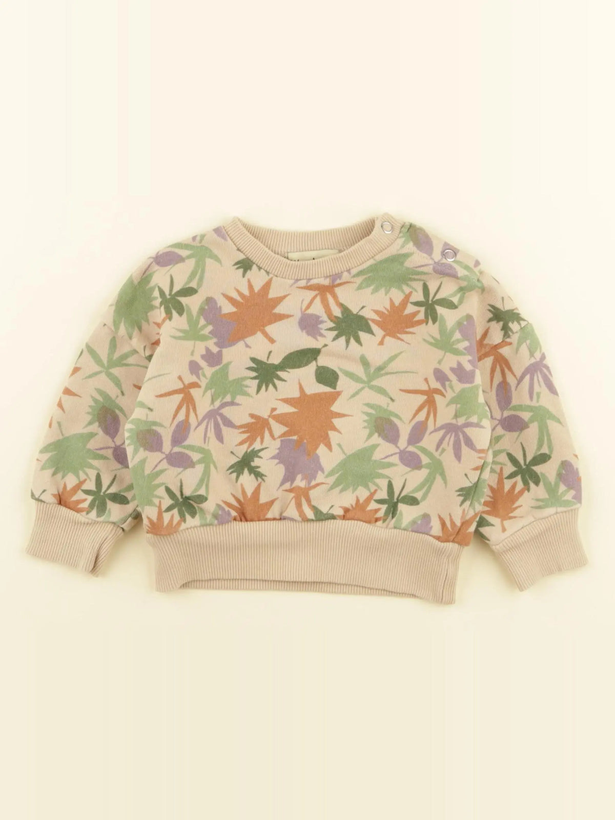 Wander & Wonder - sweat beige, vert, violet - 0/3 mois