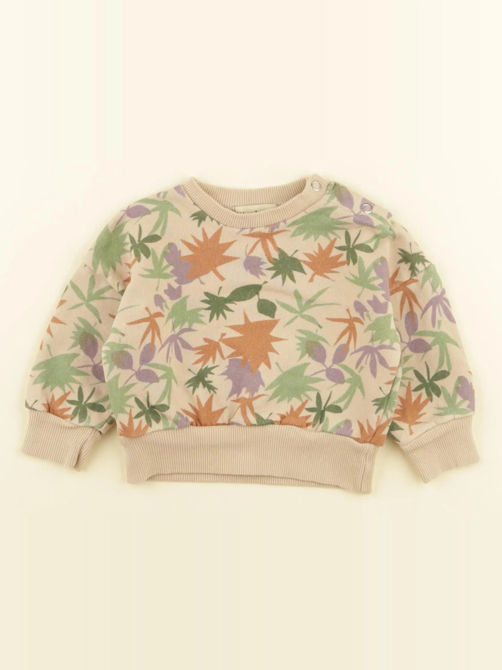 Wander & Wonder - sweat beige, vert, violet - 0/3 mois