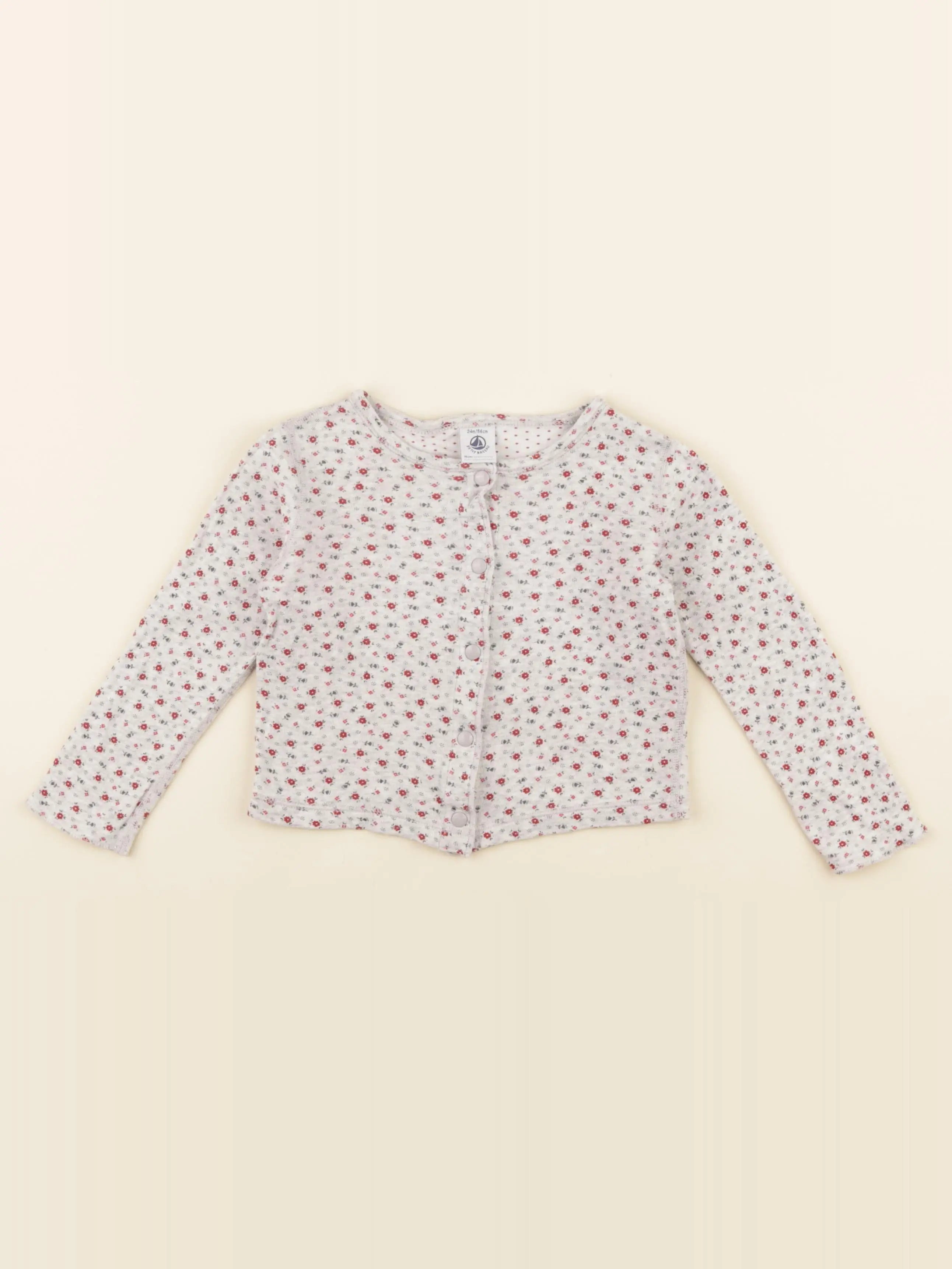 Petit Bateau - tee-shirt gris - 24 mois