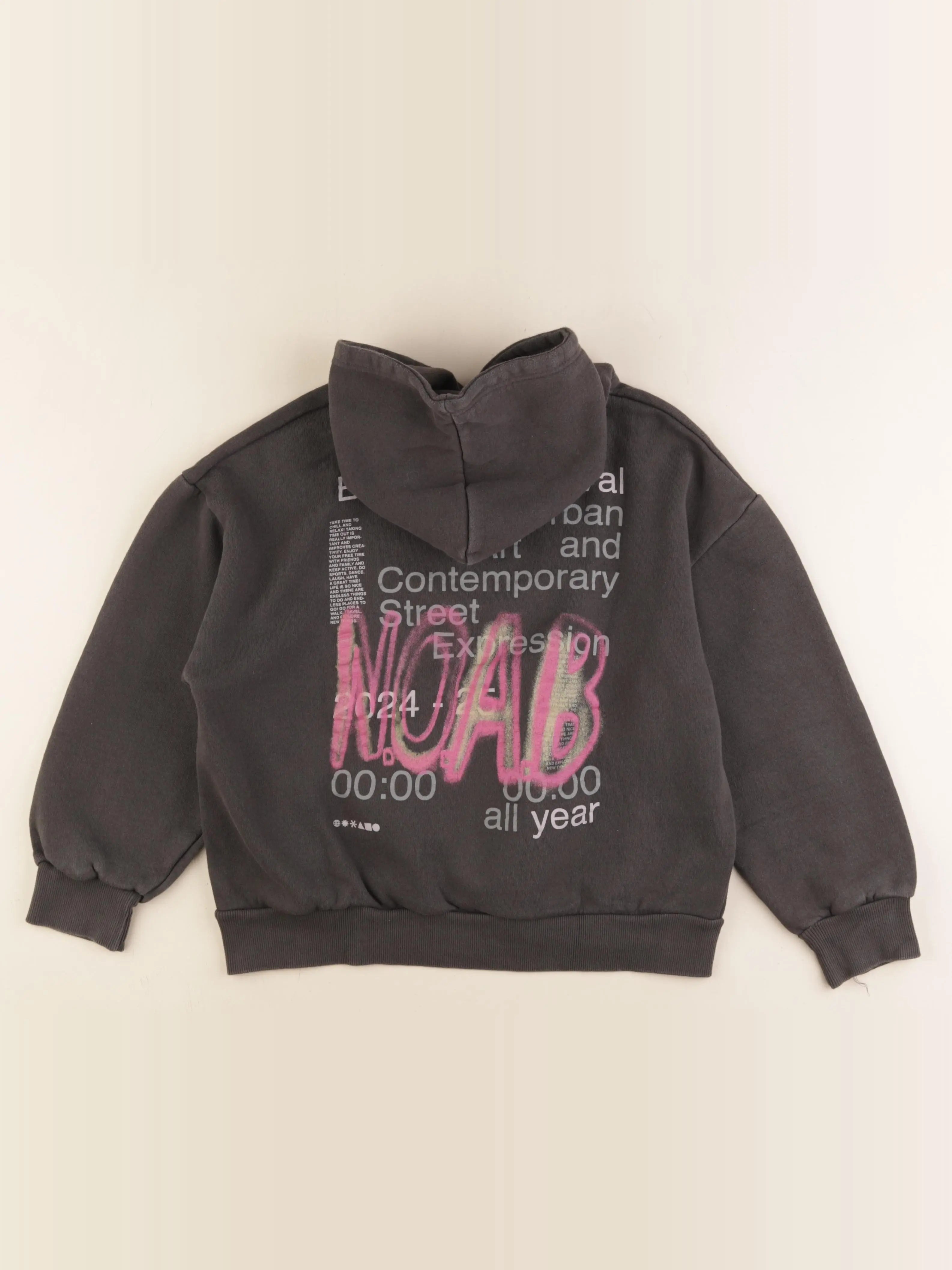Zara - sweat imprimé au dos gris - 11/12 ans