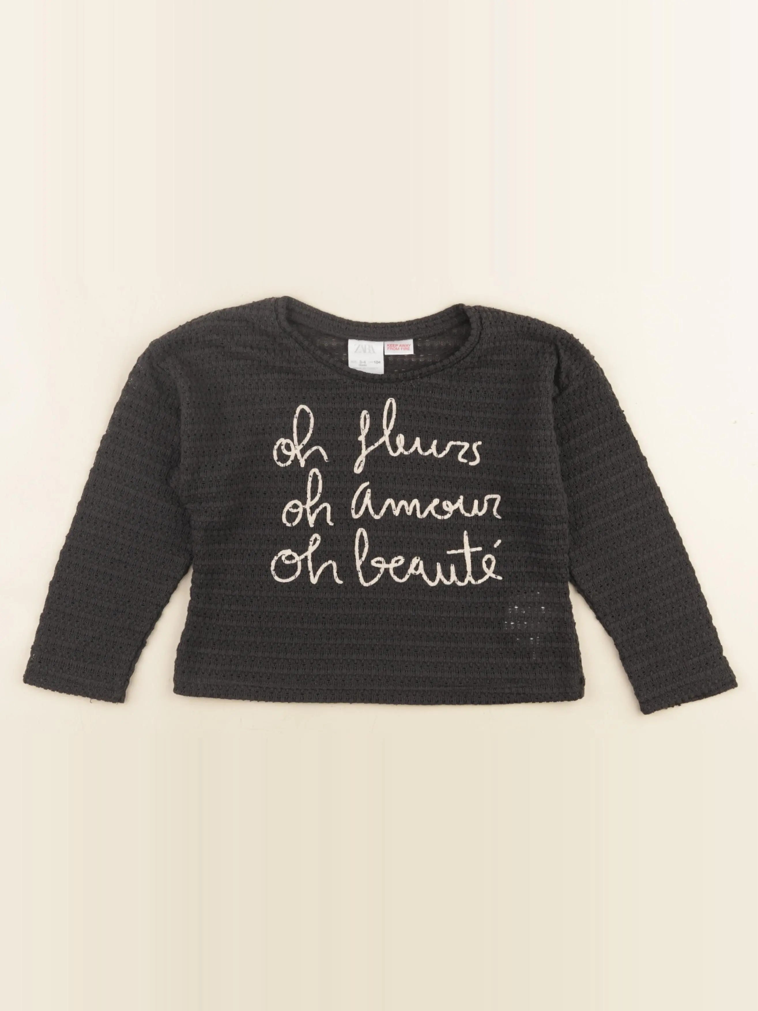Zara - tee-shirt gris - 3/4 ans