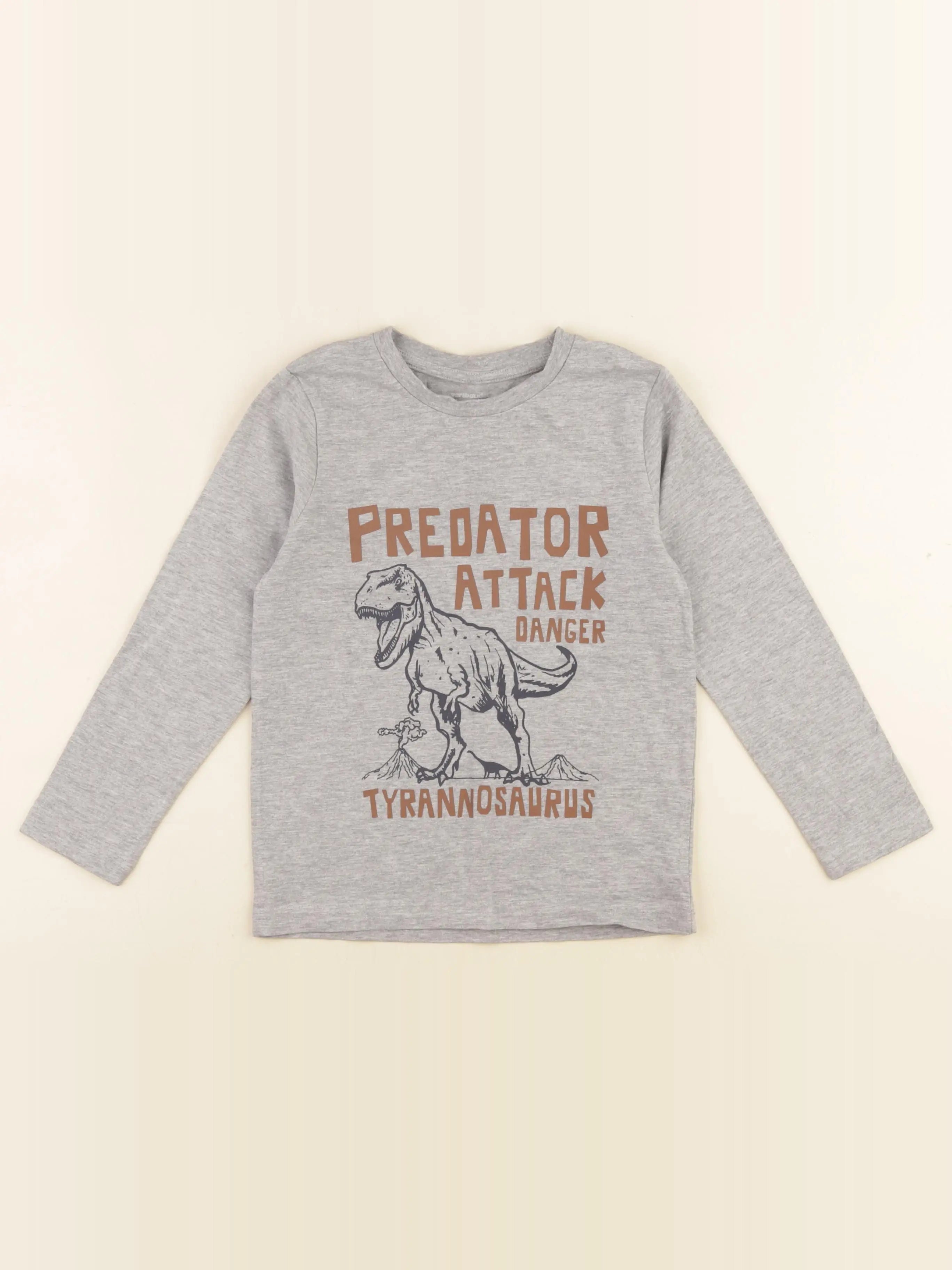 Vertbaudet - tee-shirt gris - 6 ans