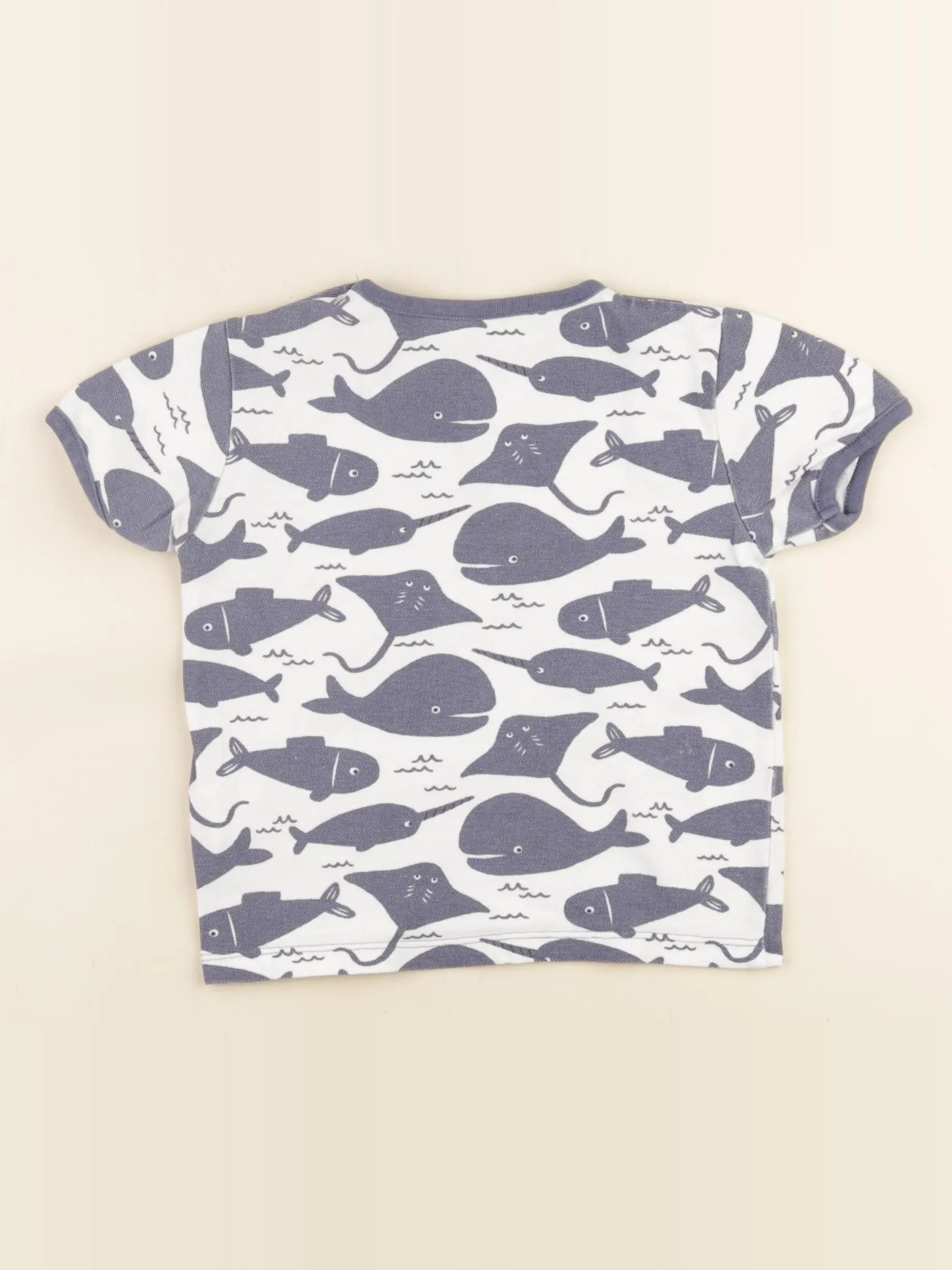 Boutchou - tee-shirt bleu, blanc - 24 mois