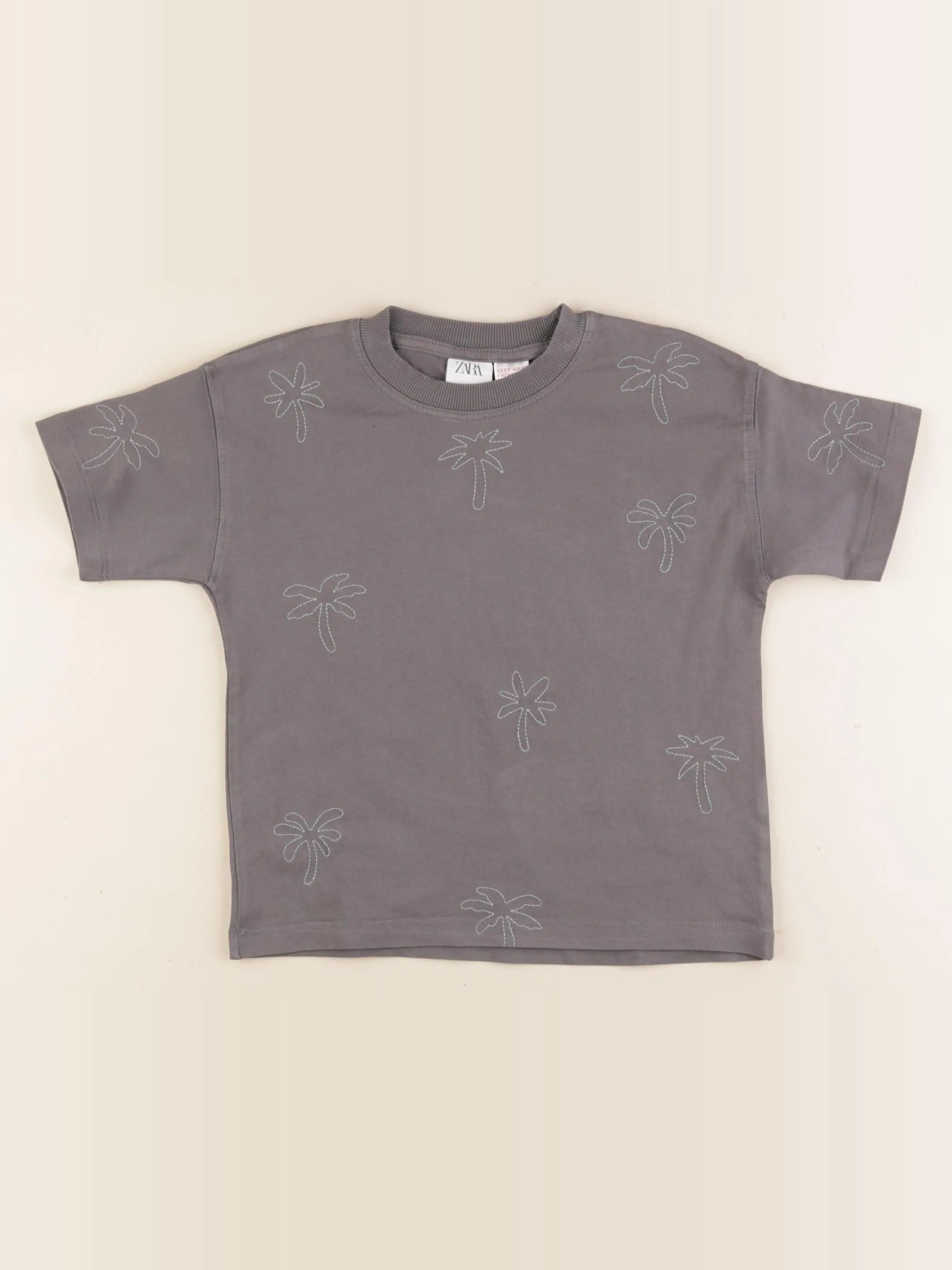 Zara - tee-shirt taupe - 5 ans