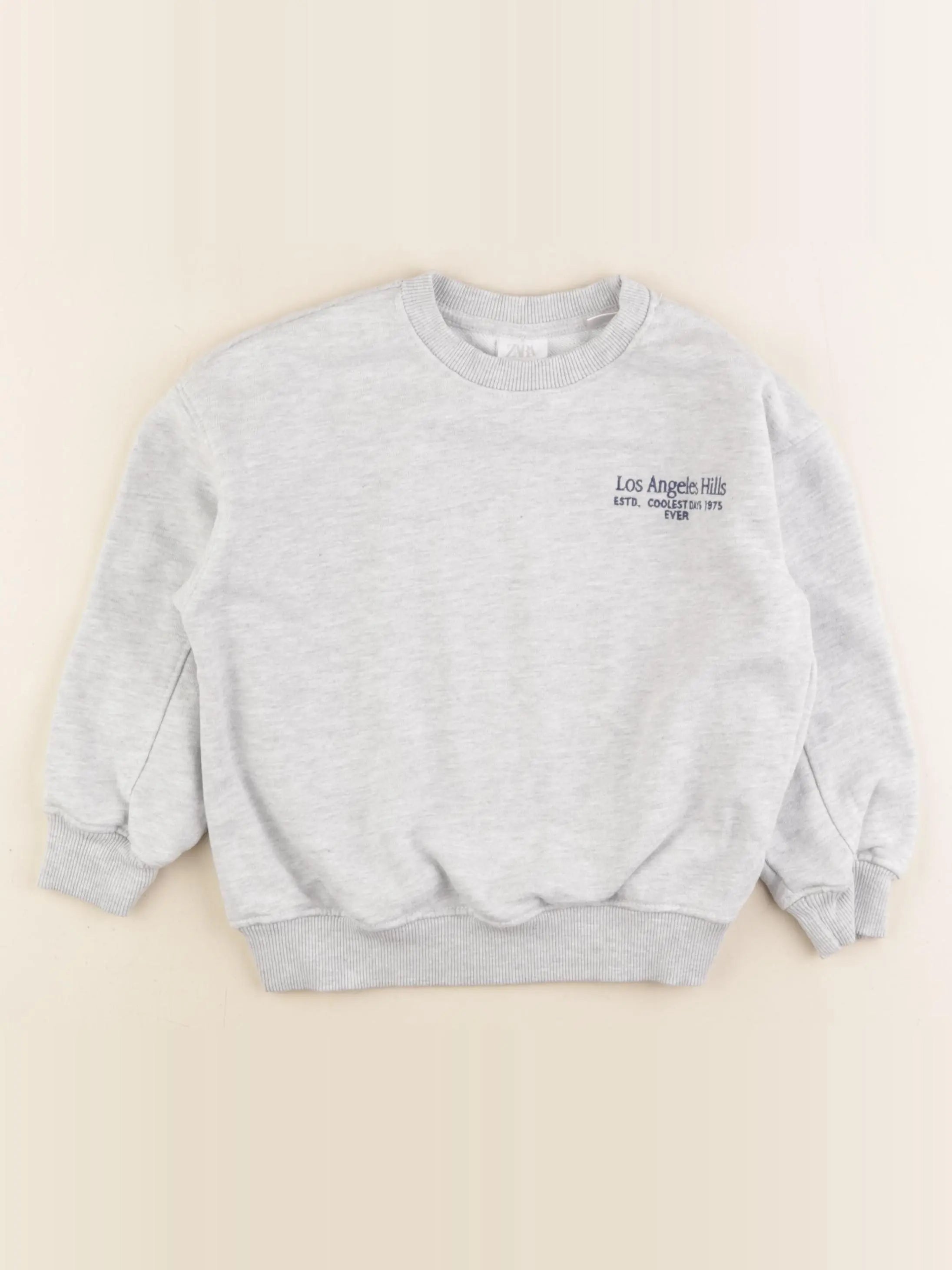 Zara - sweat gris - 6 ans