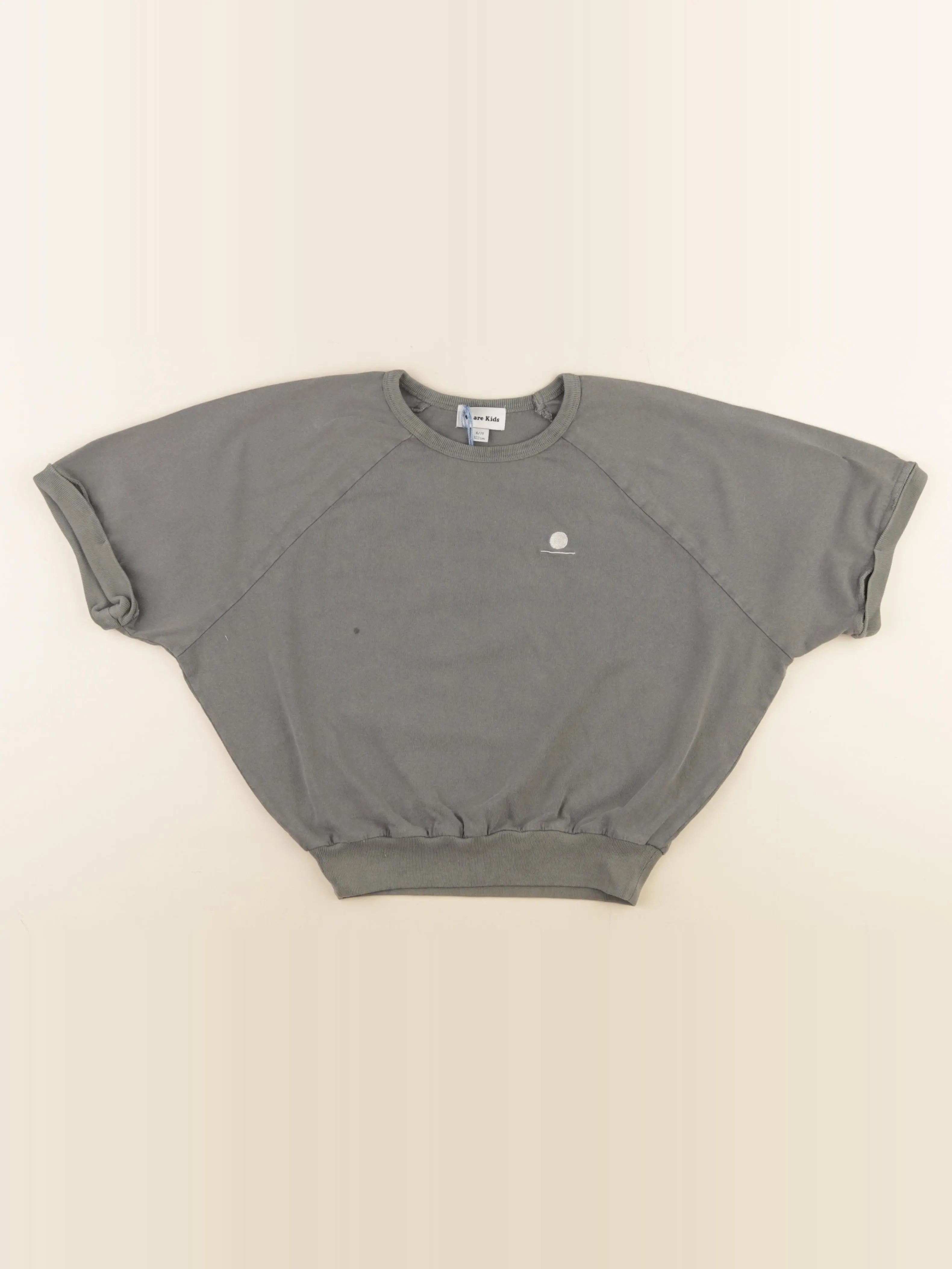 Tee-shirt gris