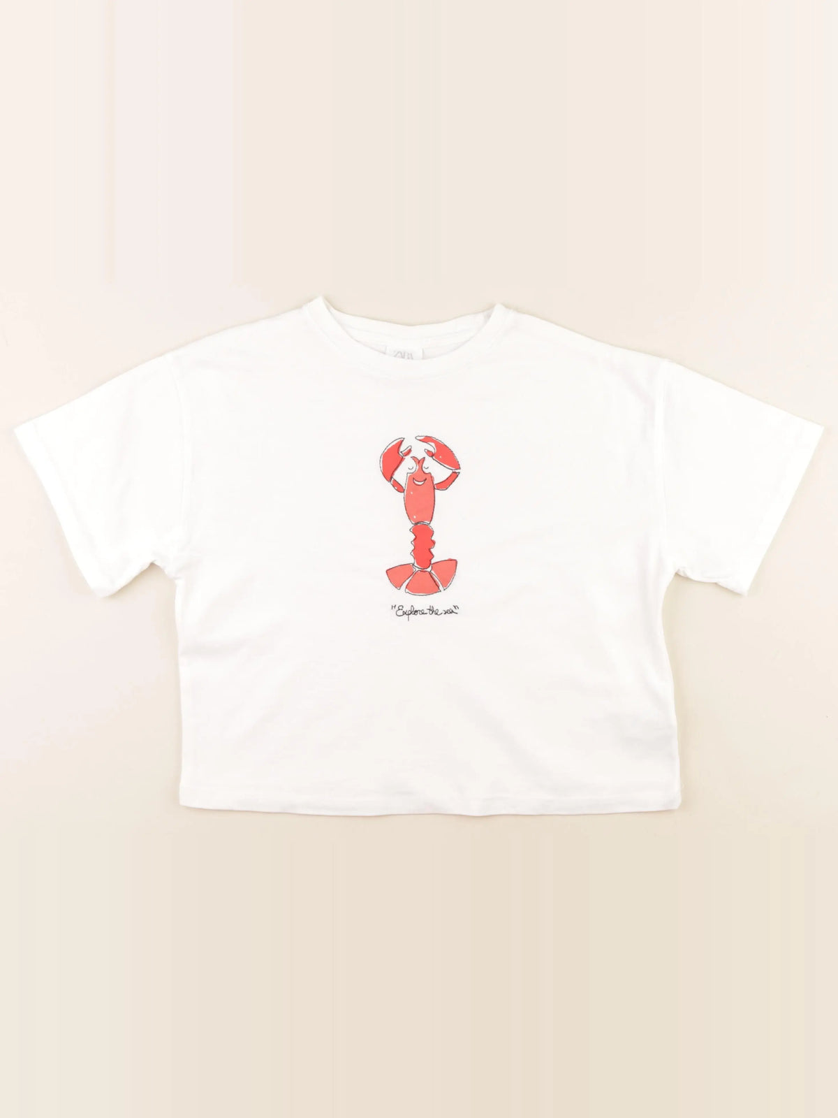 Zara - tee-shirt blanc - 11/12 ans