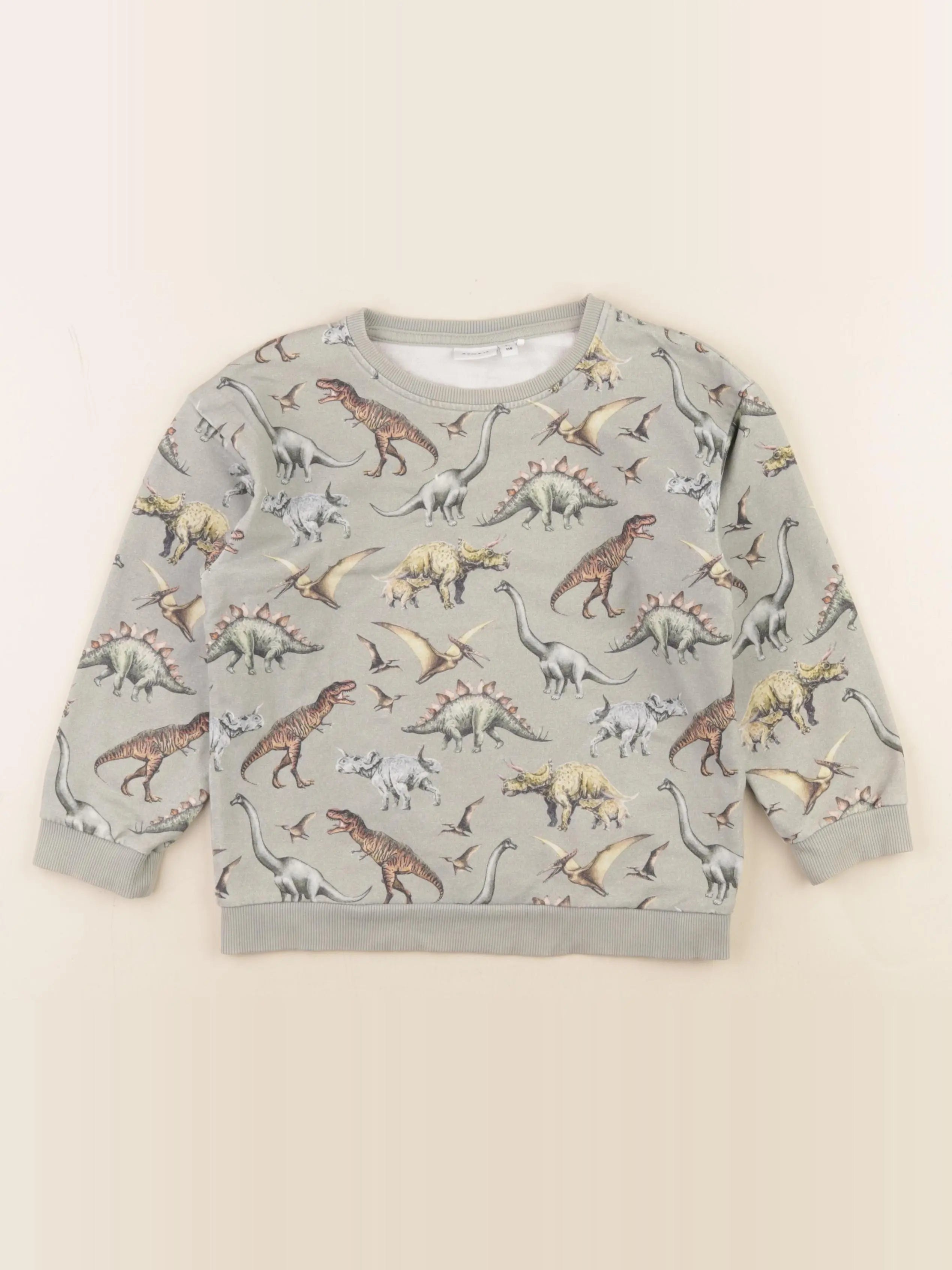 Name it - sweat vert - 5 ans
