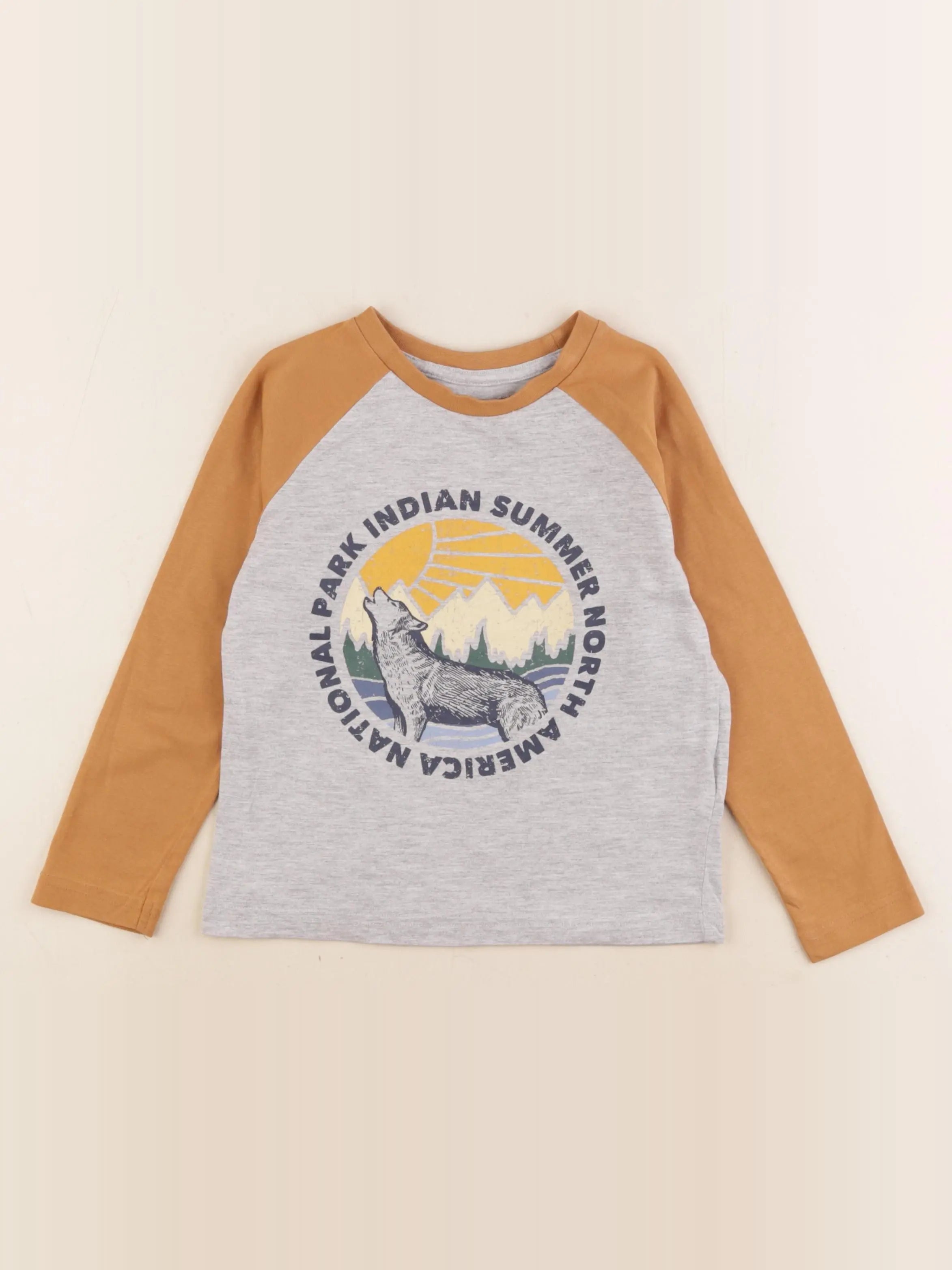 Vertbaudet - tee-shirt marron, gris - 5 ans
