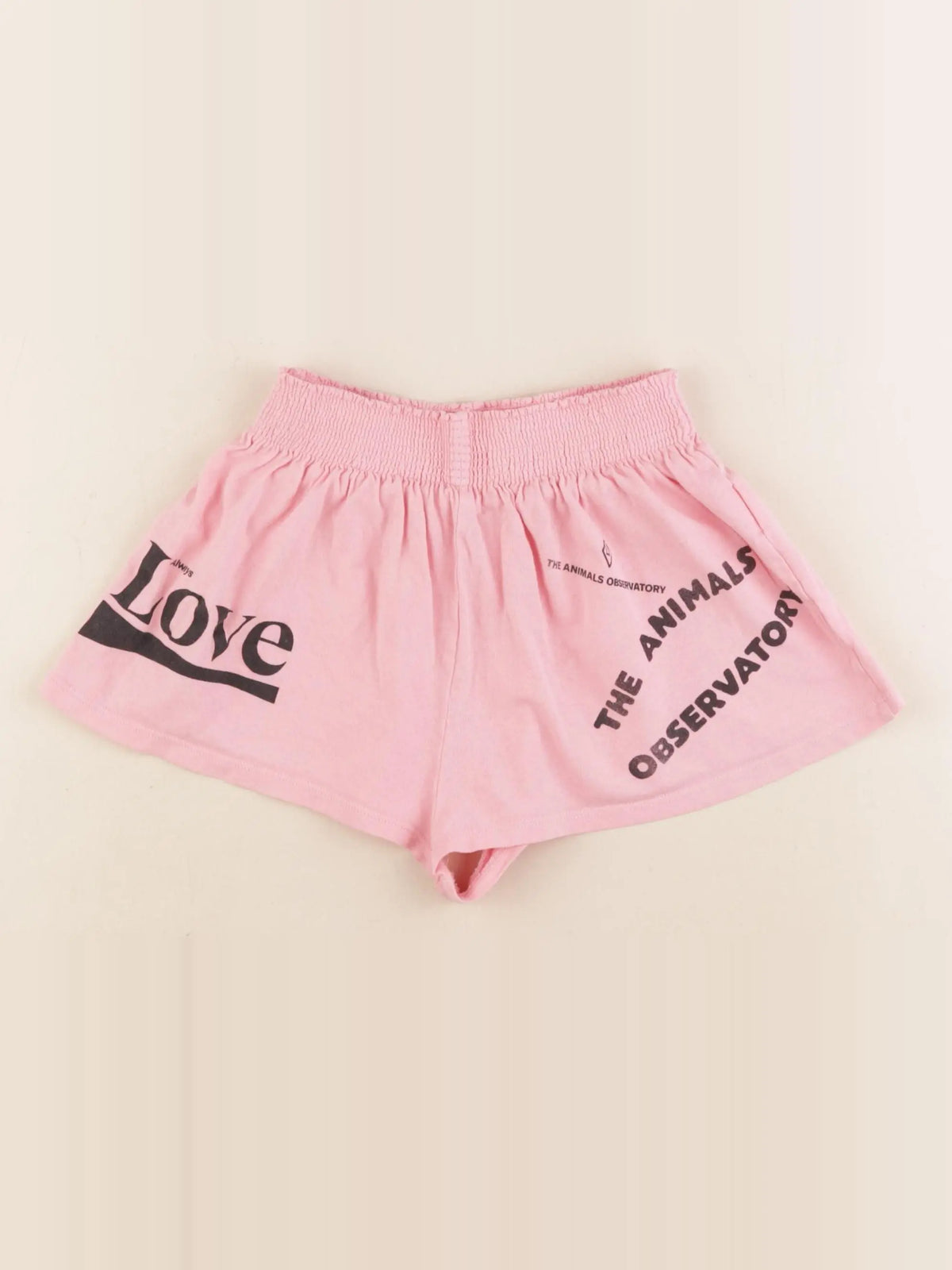 The animals observatory - short rose - 4 ans