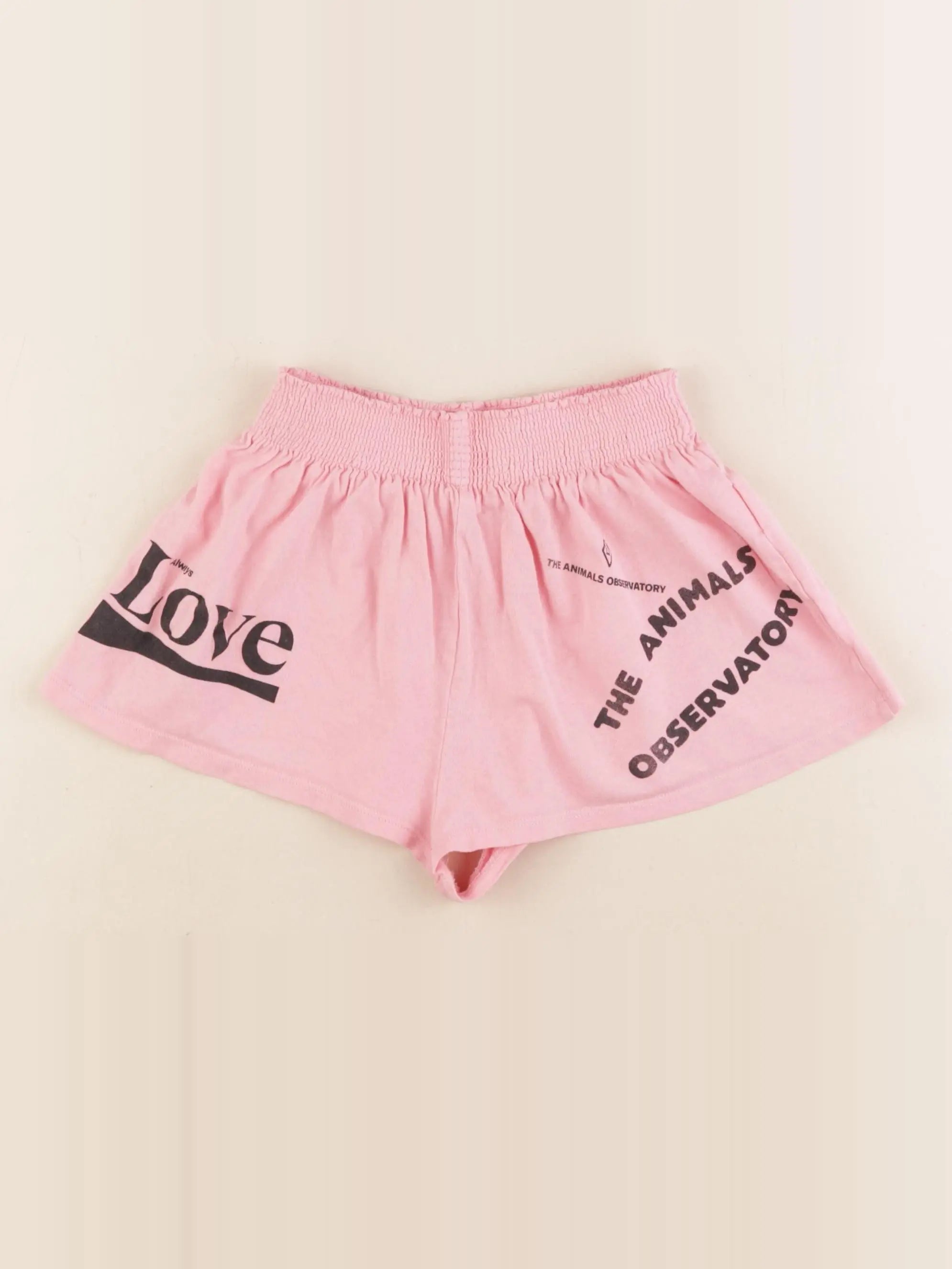 The animals observatory - short rose - 4 ans
