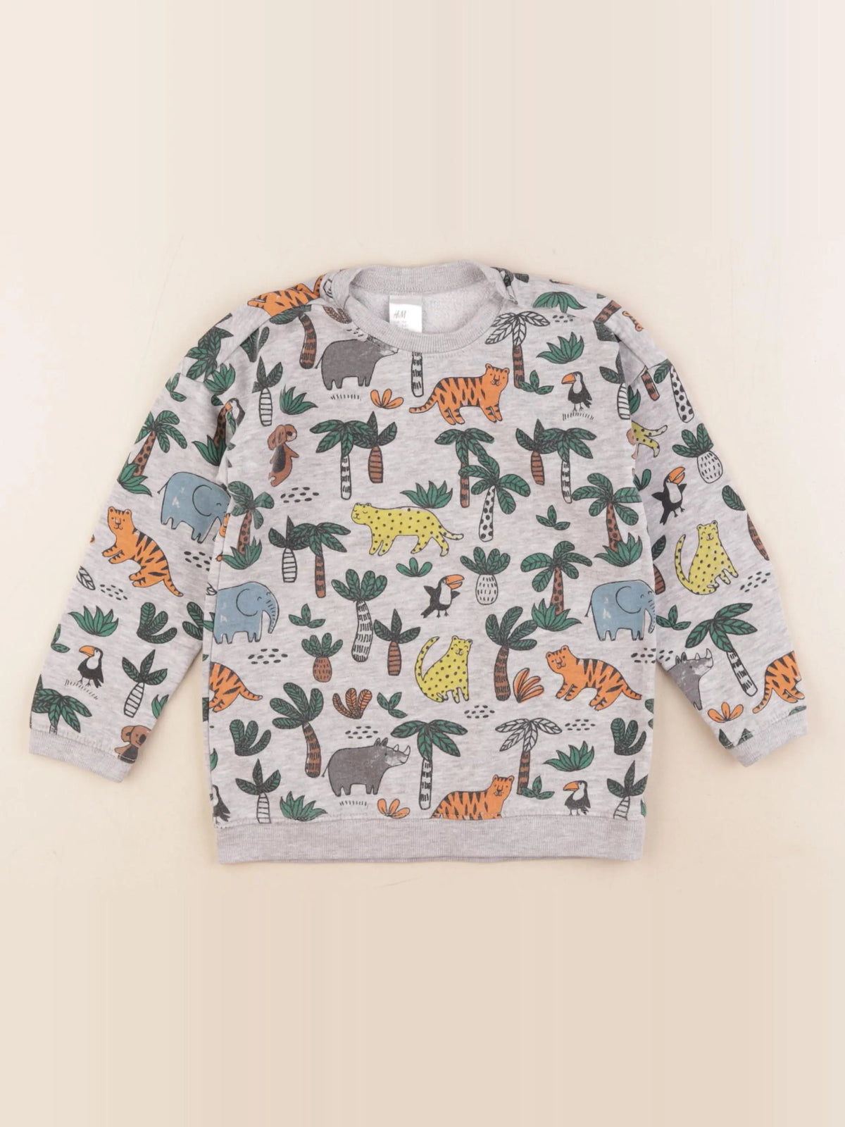 H&M - sweat multicolore - 3/4 ans
