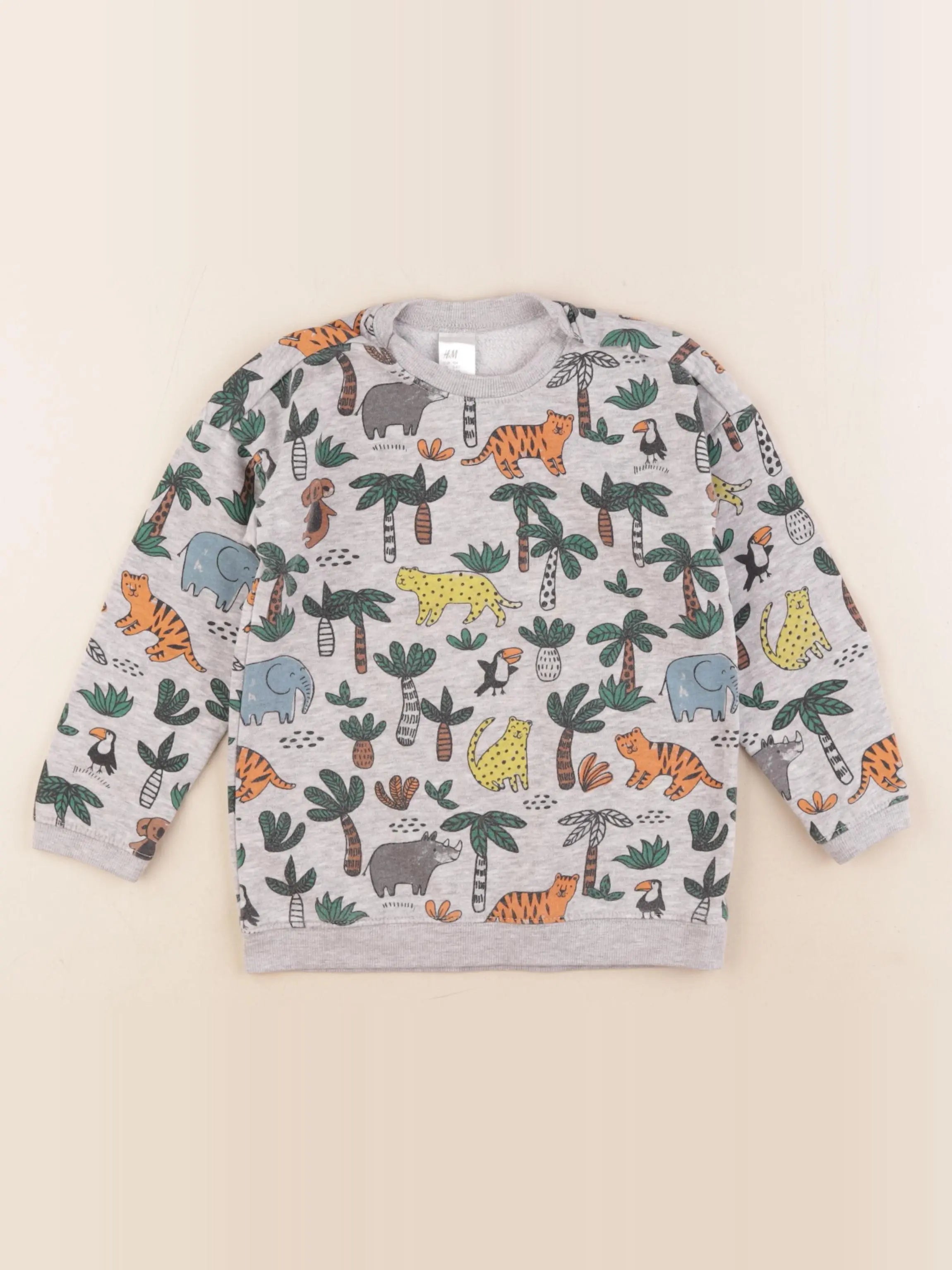 H&M - sweat multicolore - 3/4 ans
