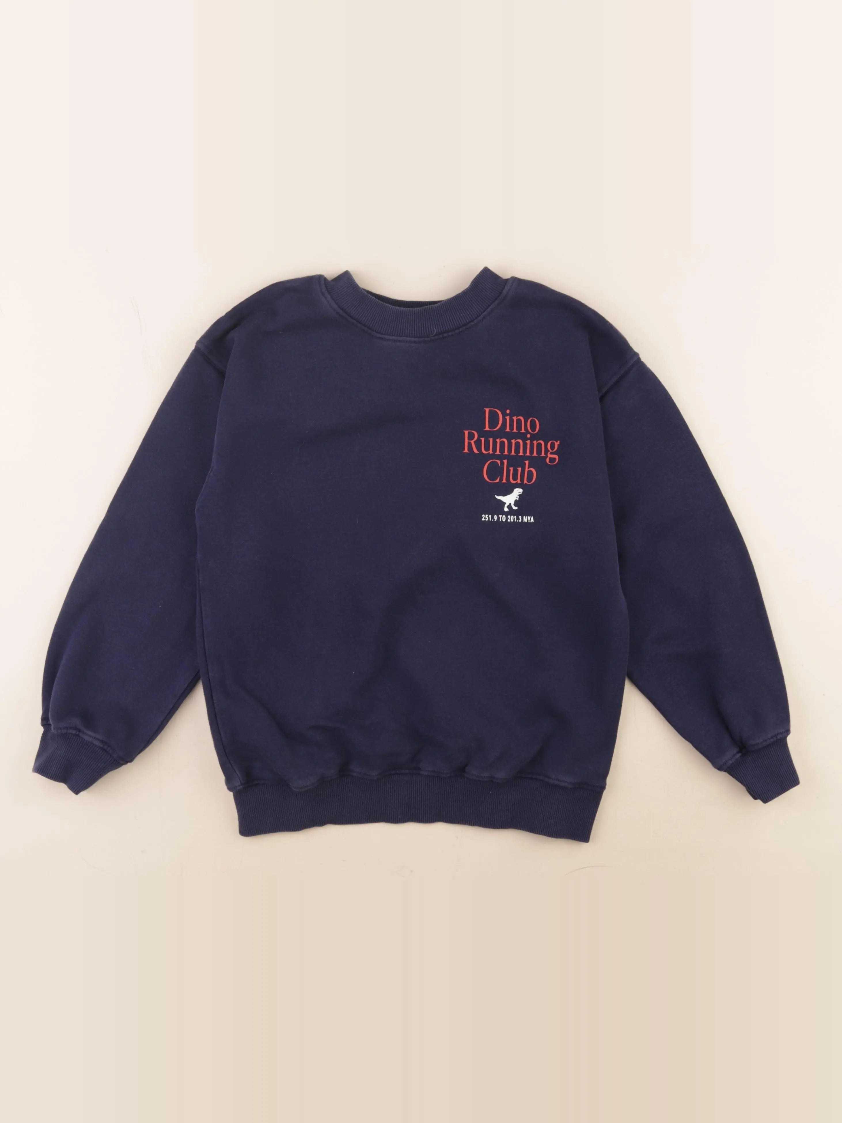H&M - sweat imprimé au dos bleu - 6/8 ans