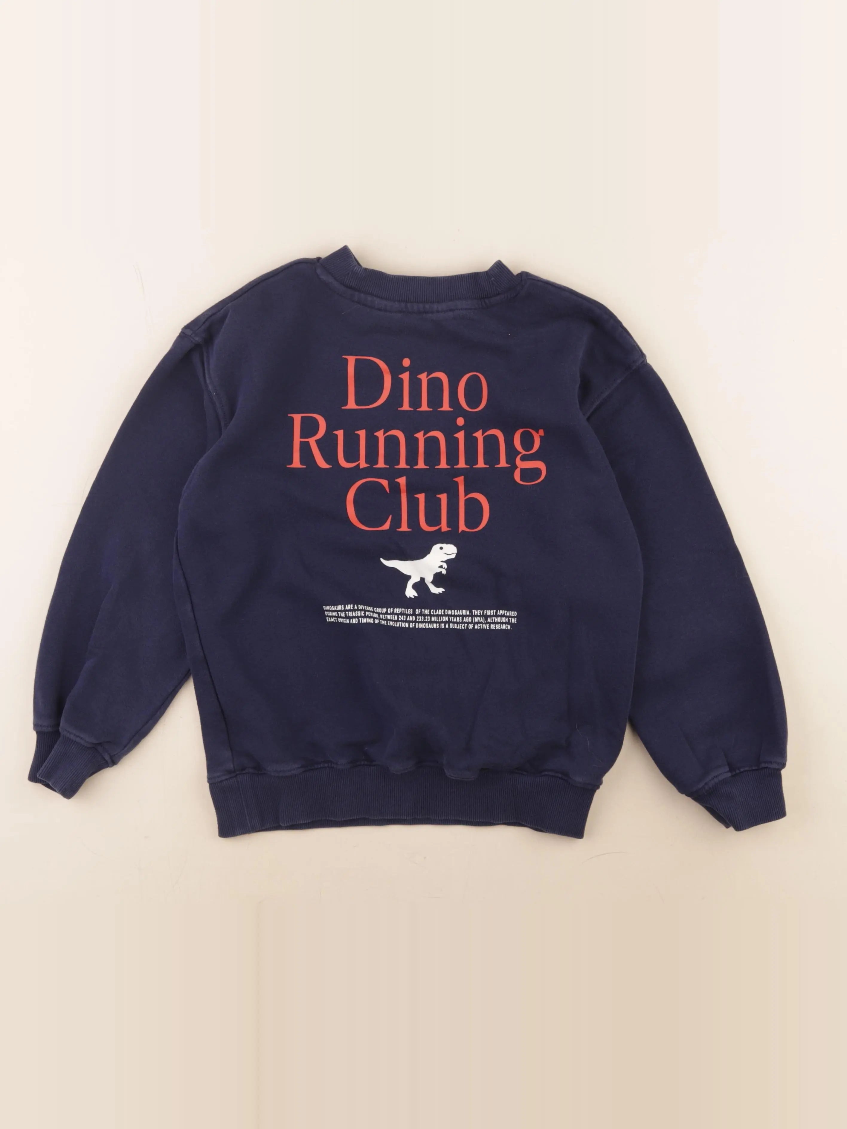H&M - sweat imprimé au dos bleu - 6/8 ans