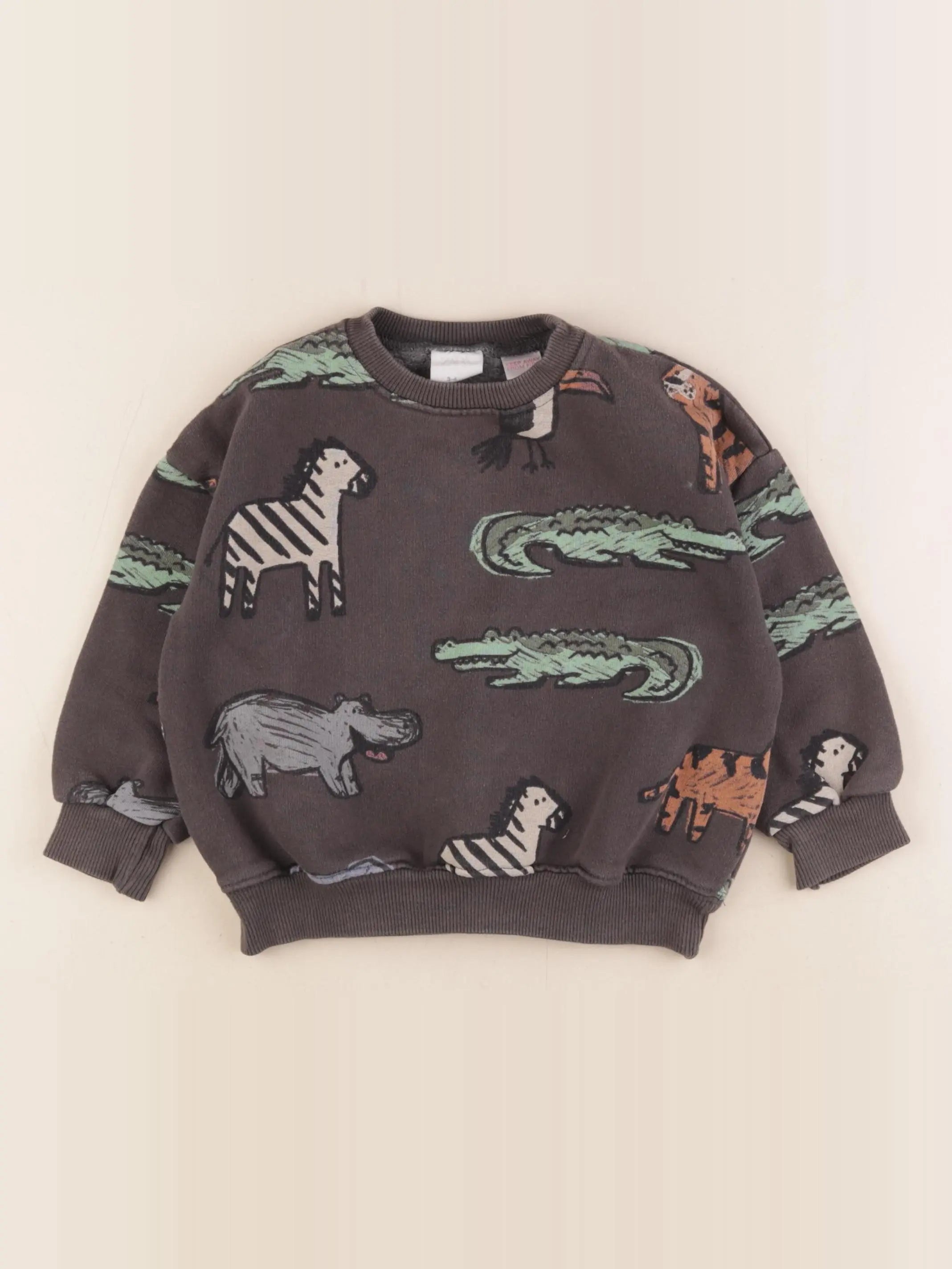 Zara - sweat multicolore - 3/4 ans