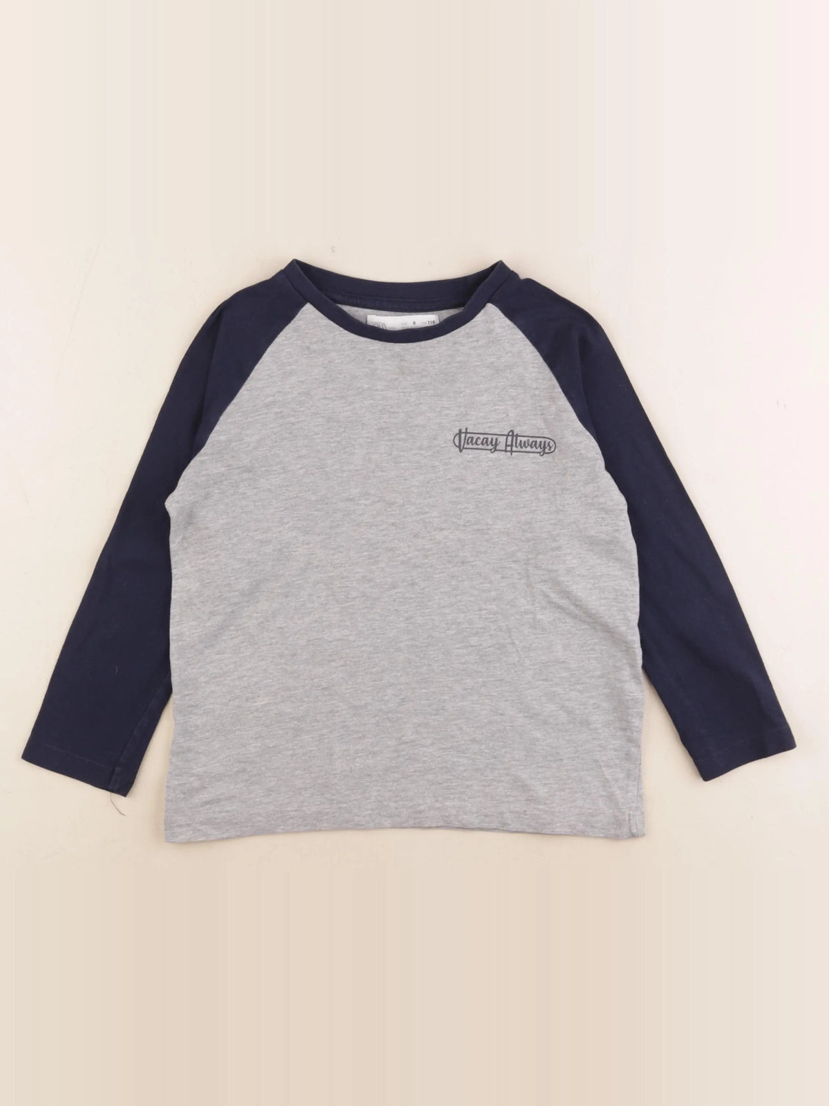Zara - tee-shirt bleu, gris - 6 ans