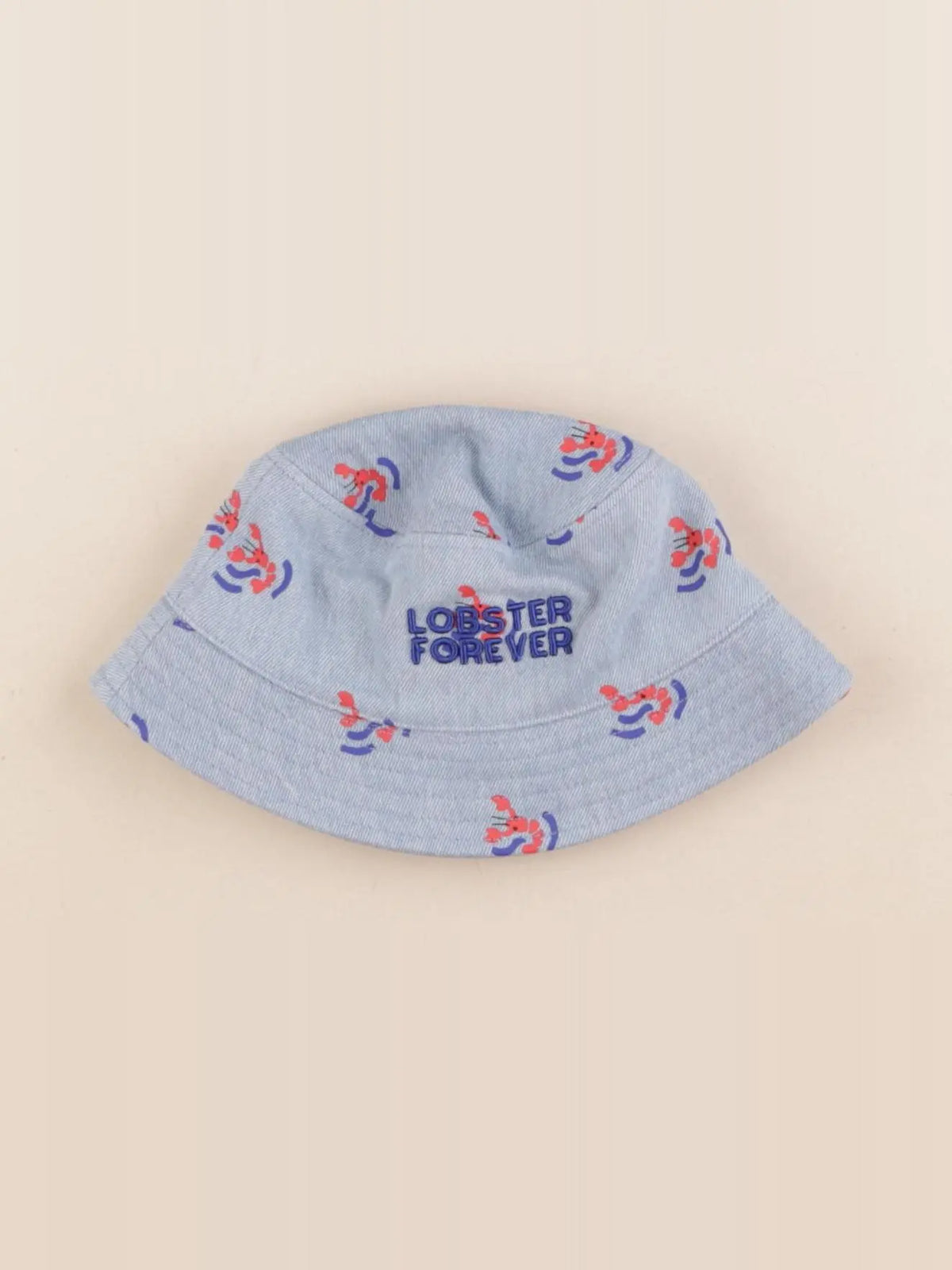 Chamaye - chapeau bleu - 6/12 mois