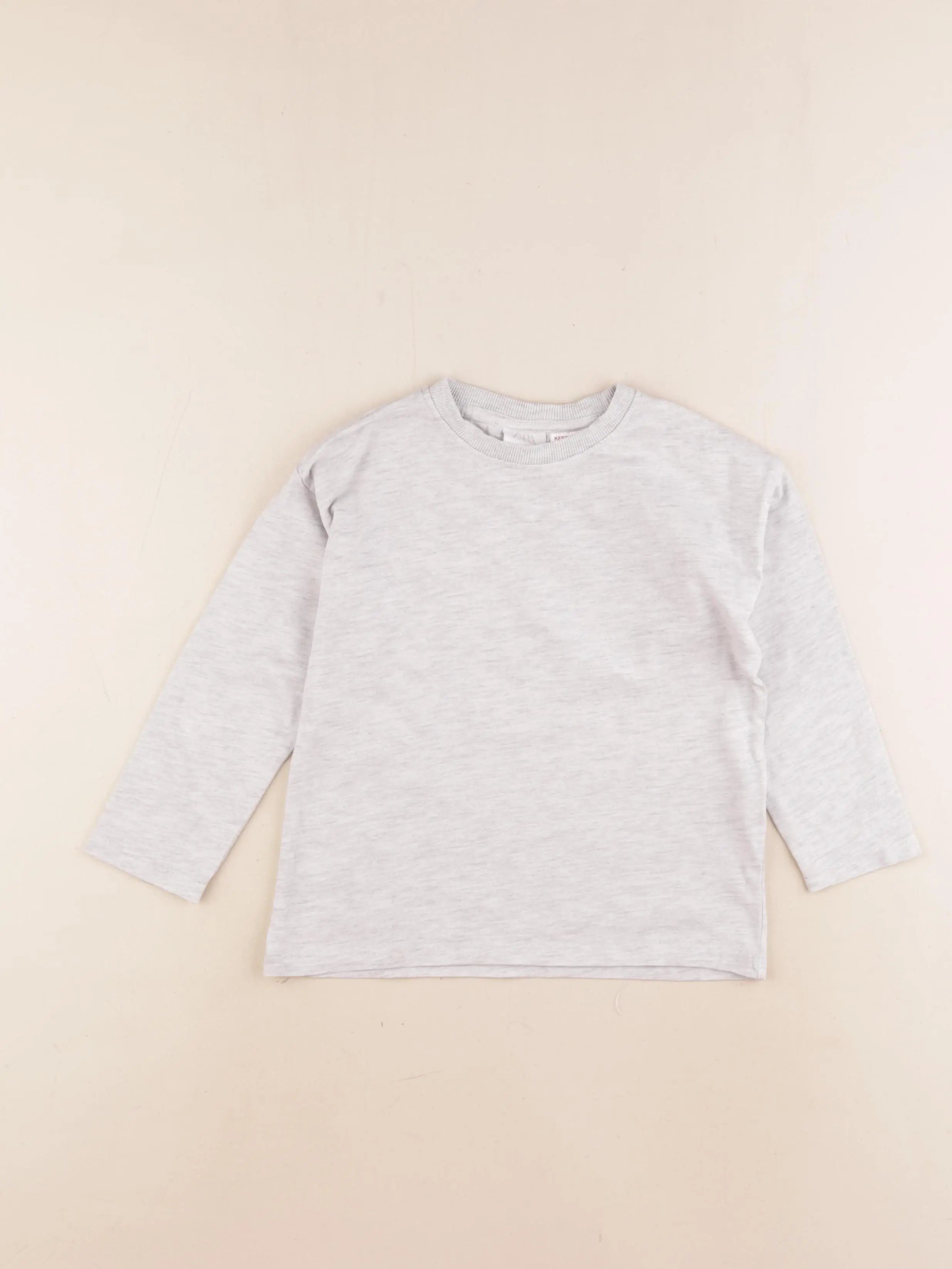 Zara - tee-shirt gris - 3 ans