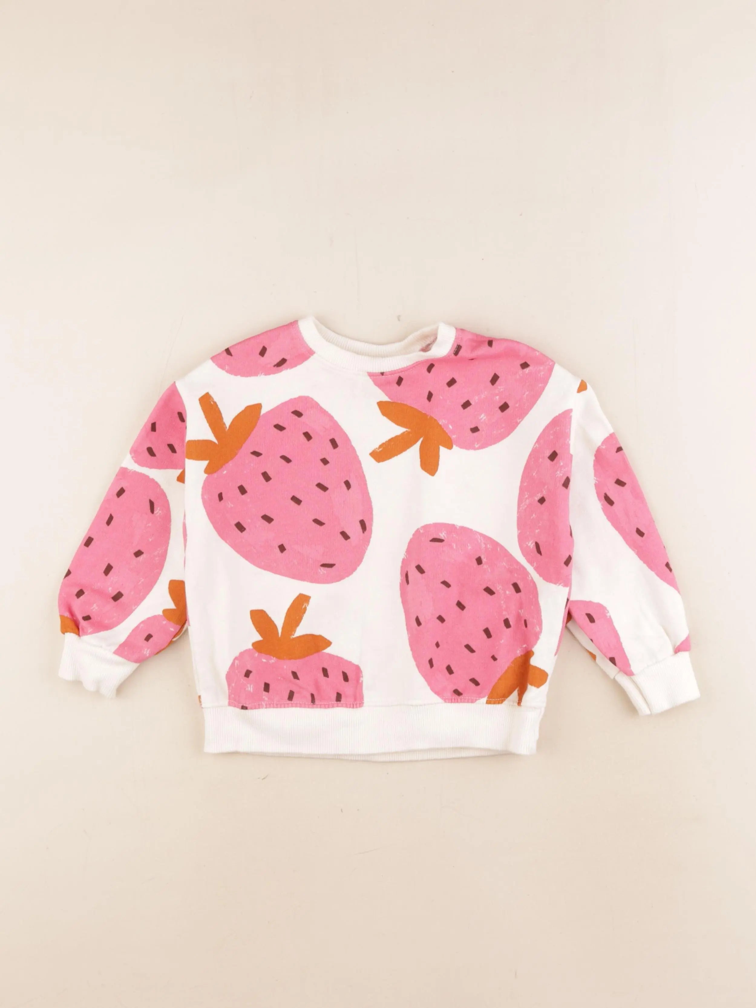 Zara - sweat multicolore - 18/24 mois