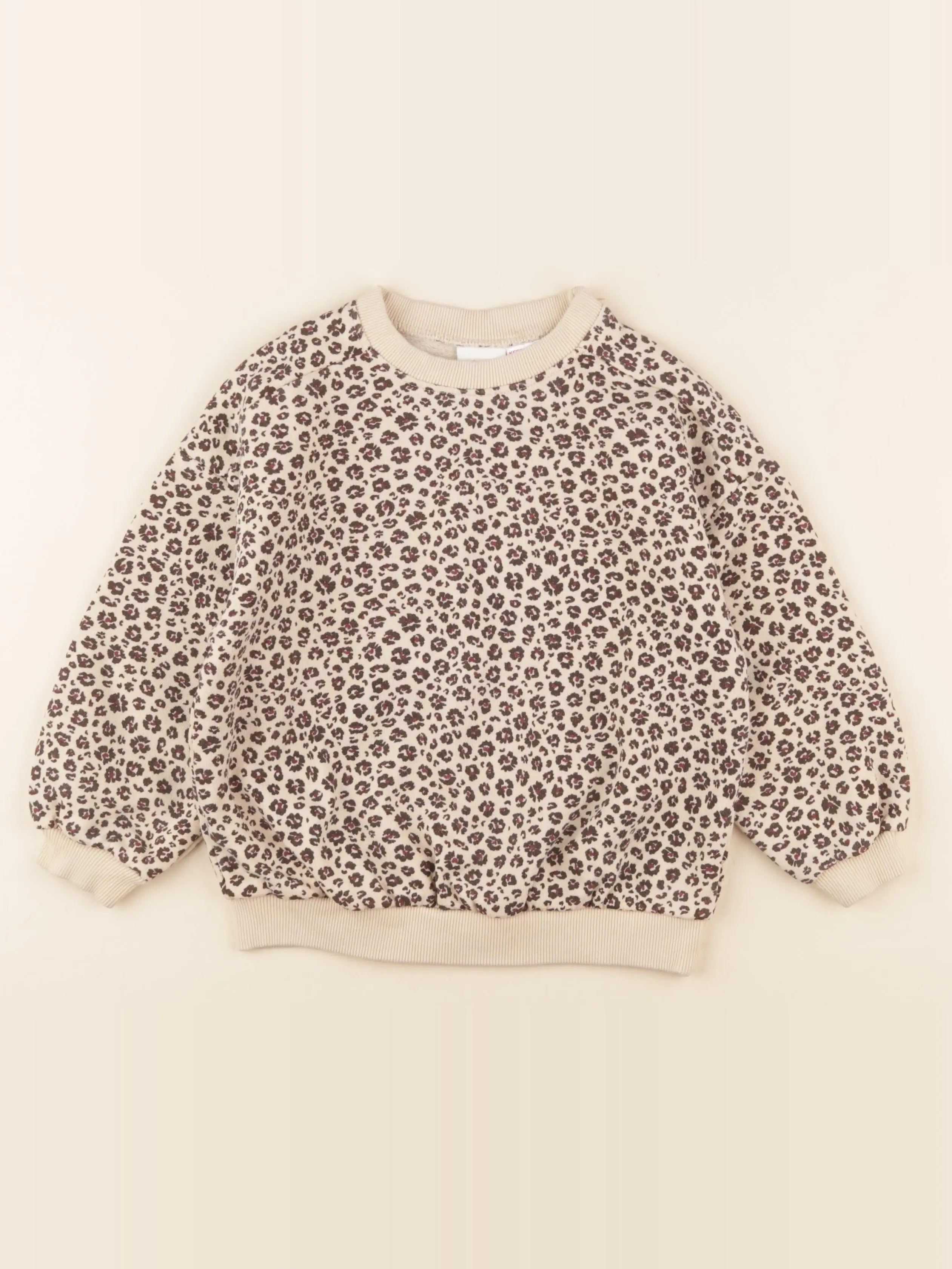 Zara - sweat marron - 4 ans