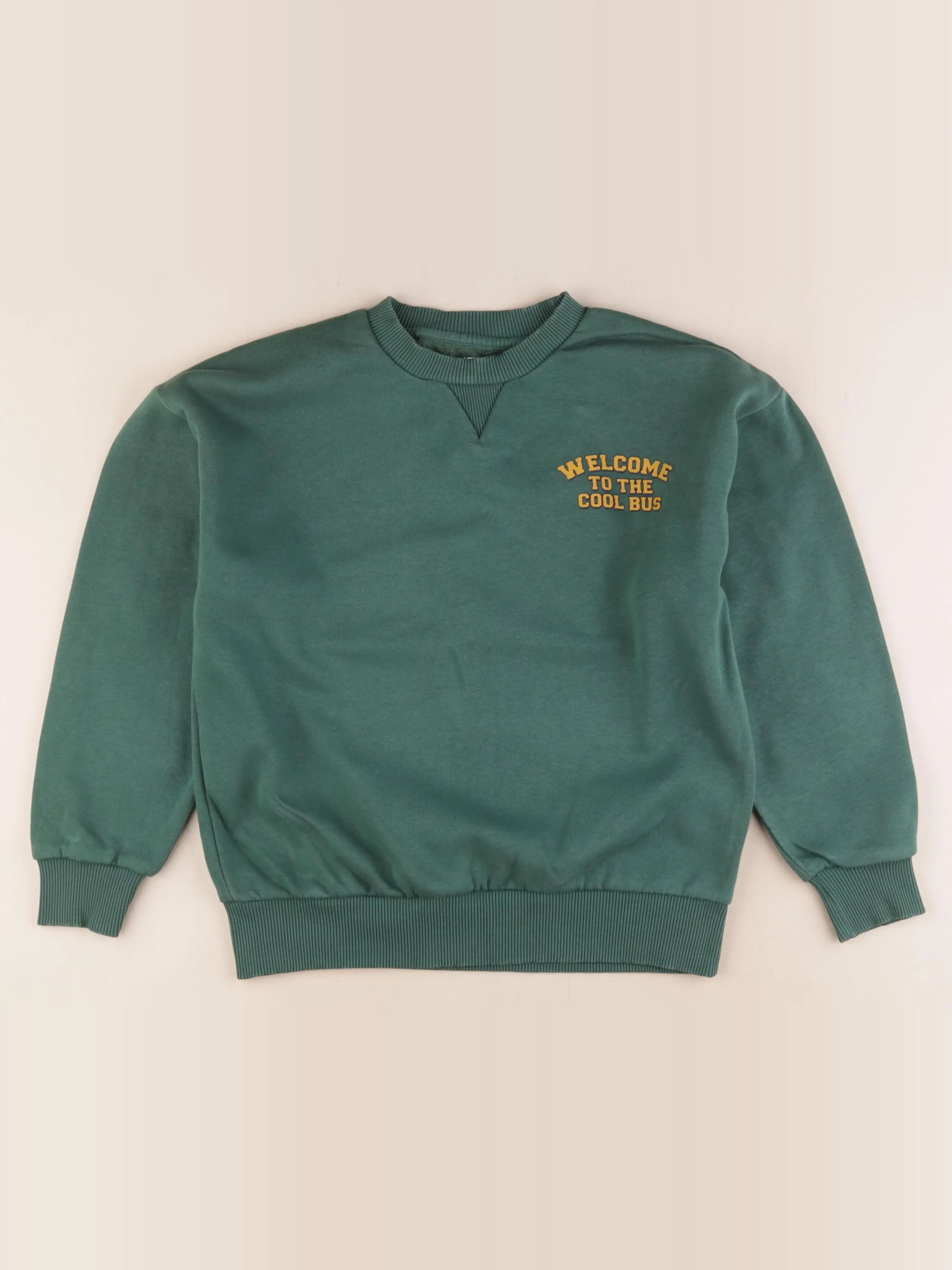 Vertbaudet - sweat imprimé au dos vert - 10 ans